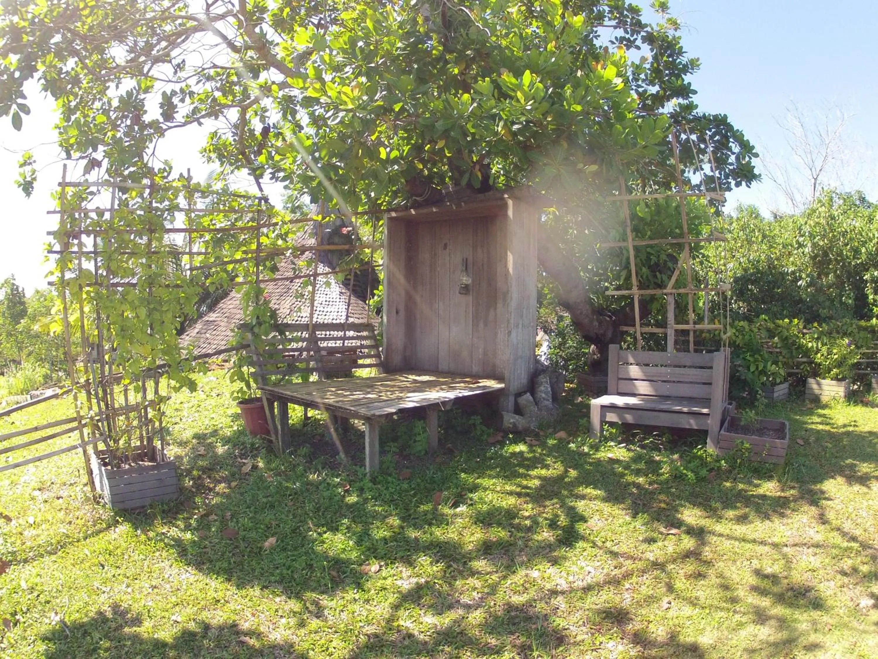 Natural landscape in Bukit Raya Guesthouse
