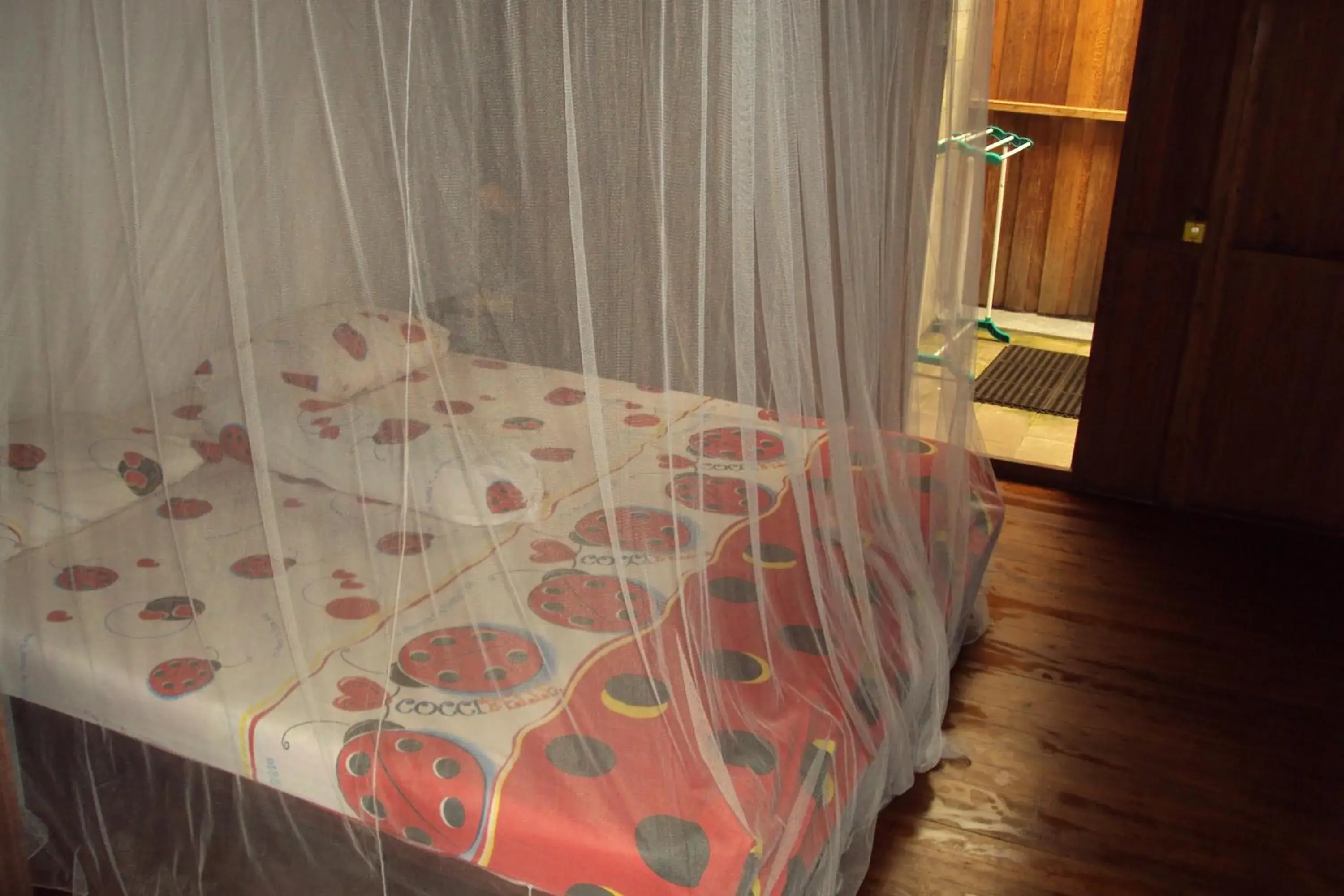 Comfort Double Room in Bukit Raya Guesthouse Comfort Double Room in Bukit Raya Guesthouse