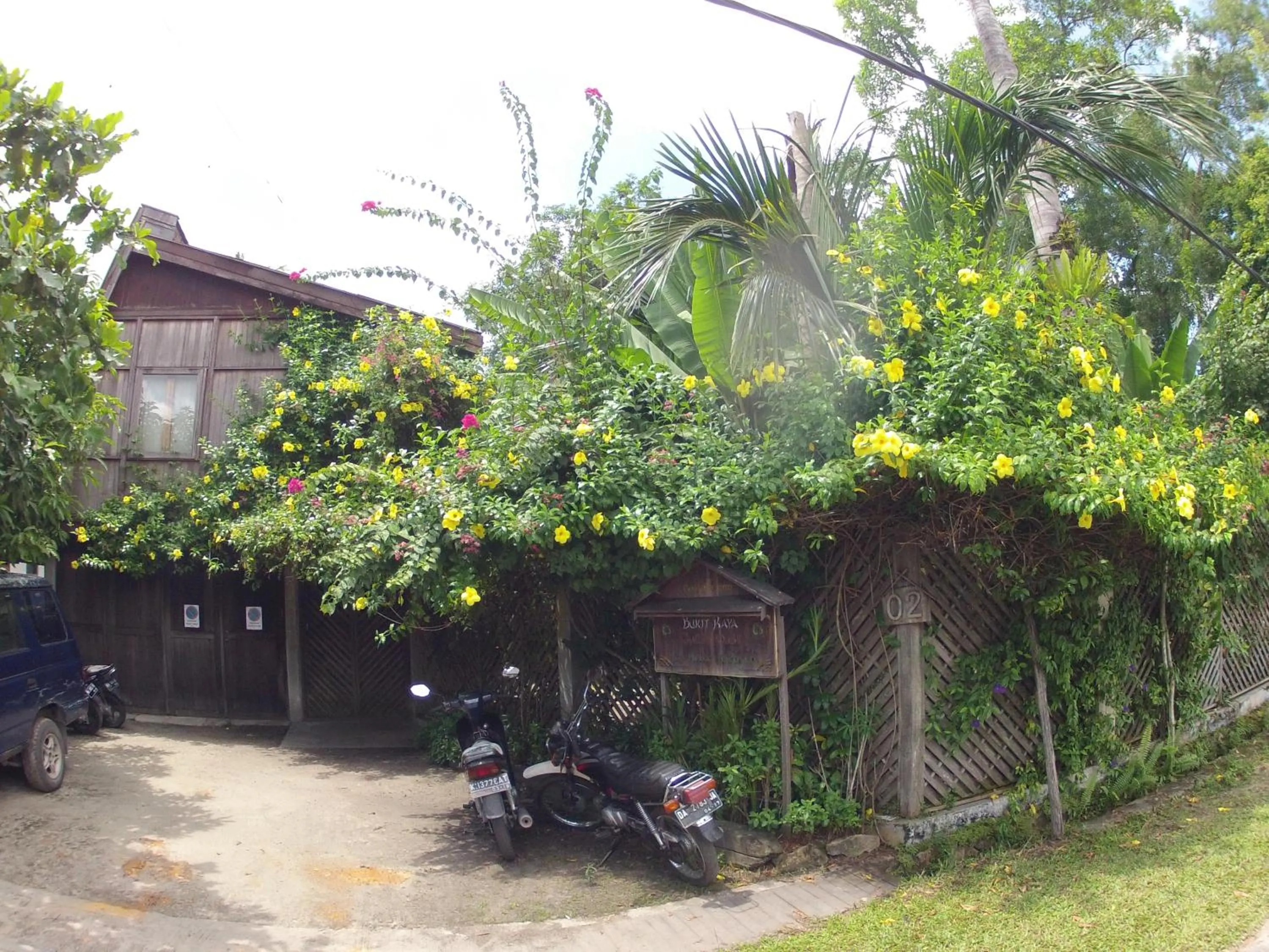 Natural landscape in Bukit Raya Guesthouse