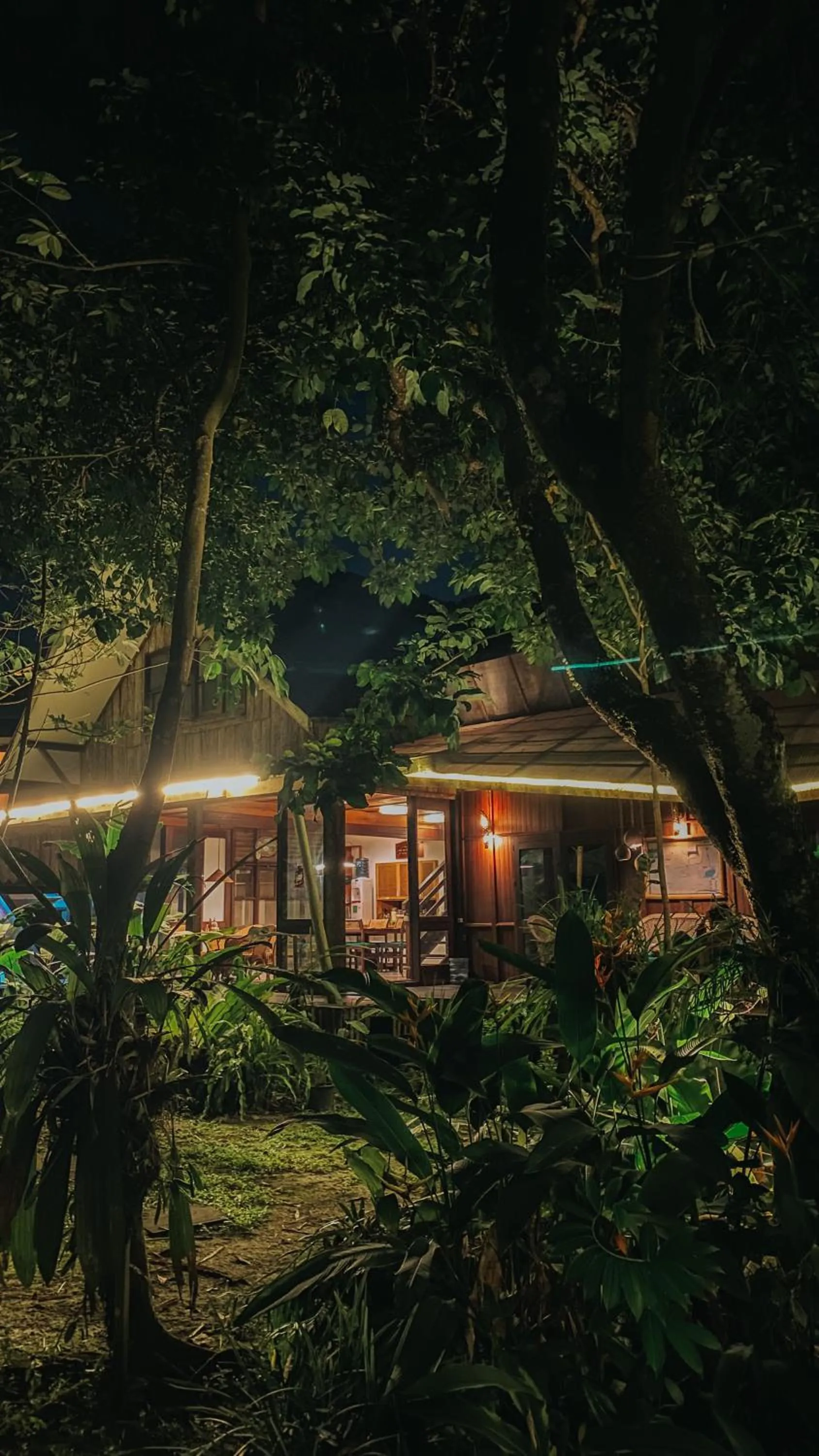 View (from property/room) in Bukit Raya Guesthouse