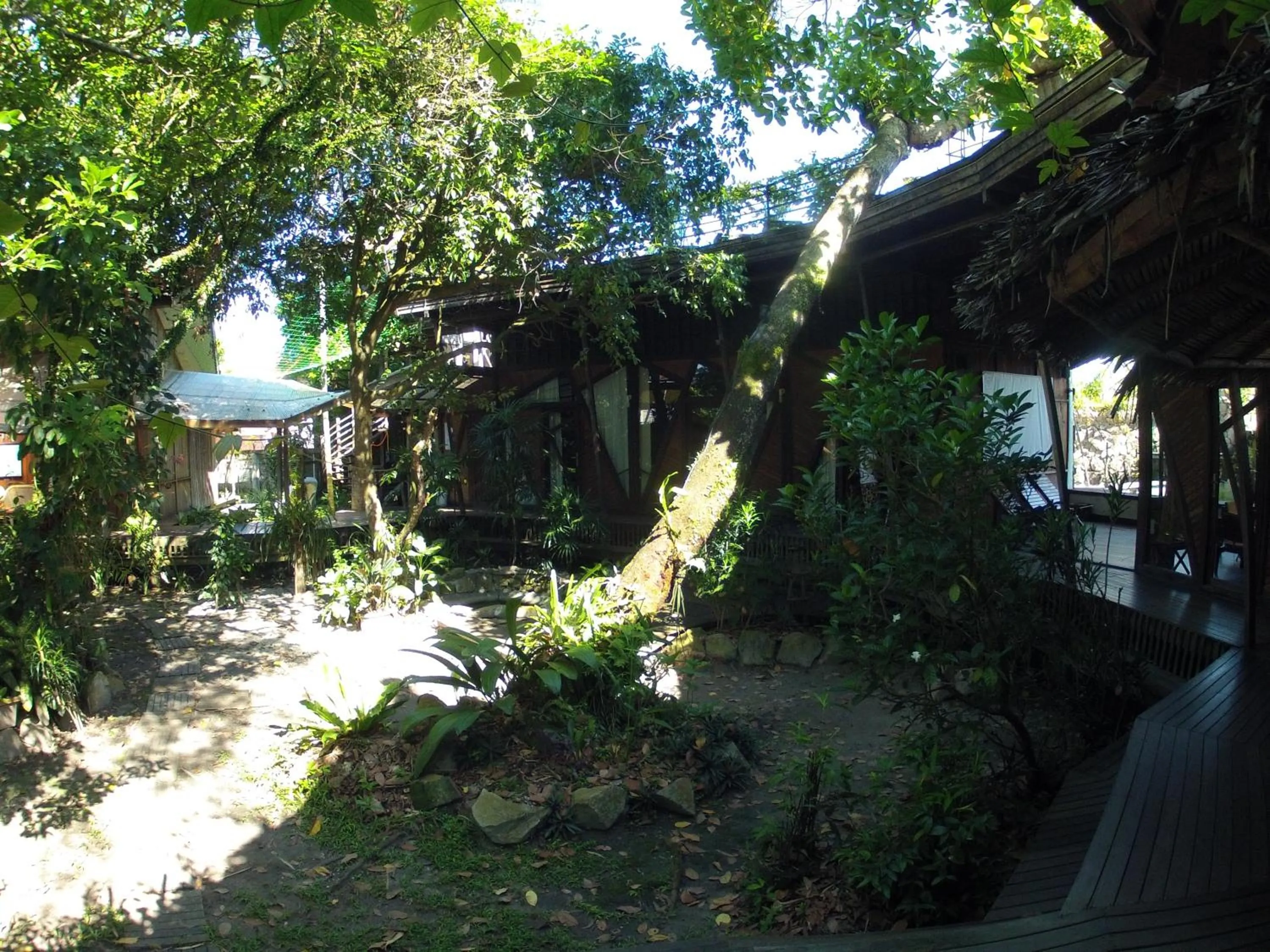 Natural landscape in Bukit Raya Guesthouse