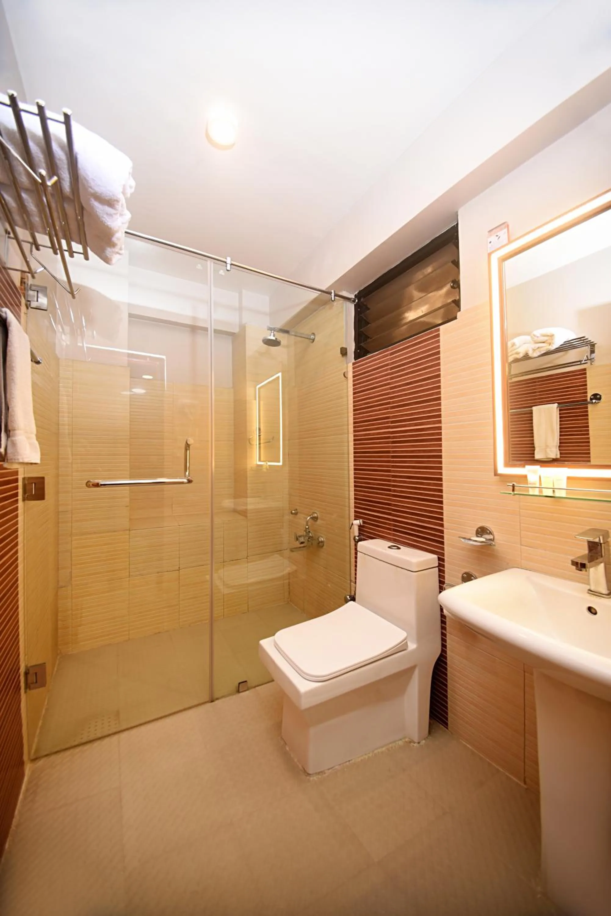 Shower in Hotel Mums Home