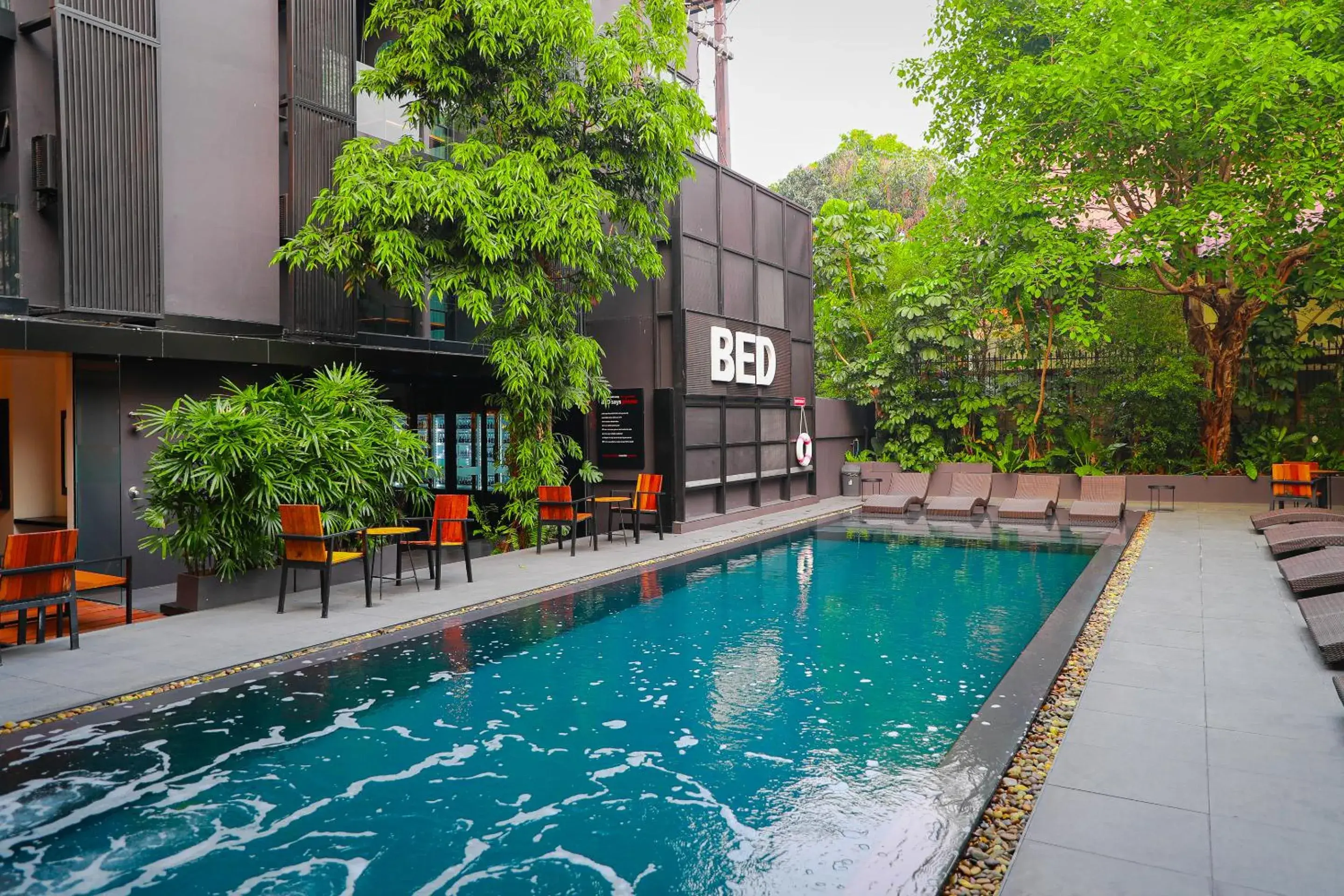 Swimming pool in BED Nimman - Adults Only Swimming pool in BED Nimman - Adults Only