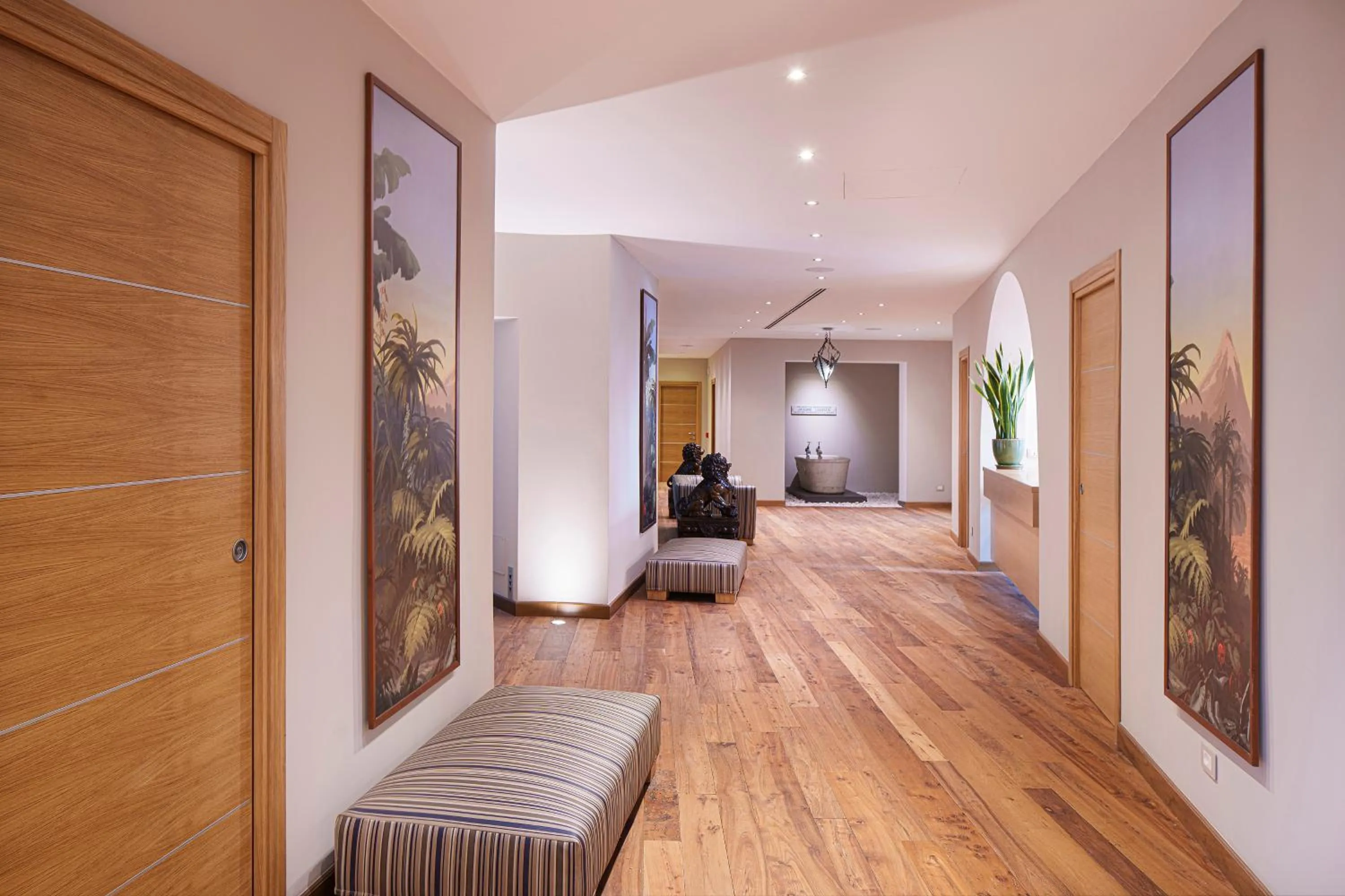 Spa and wellness centre/facilities in Palazzo Manzi Terme & Spa