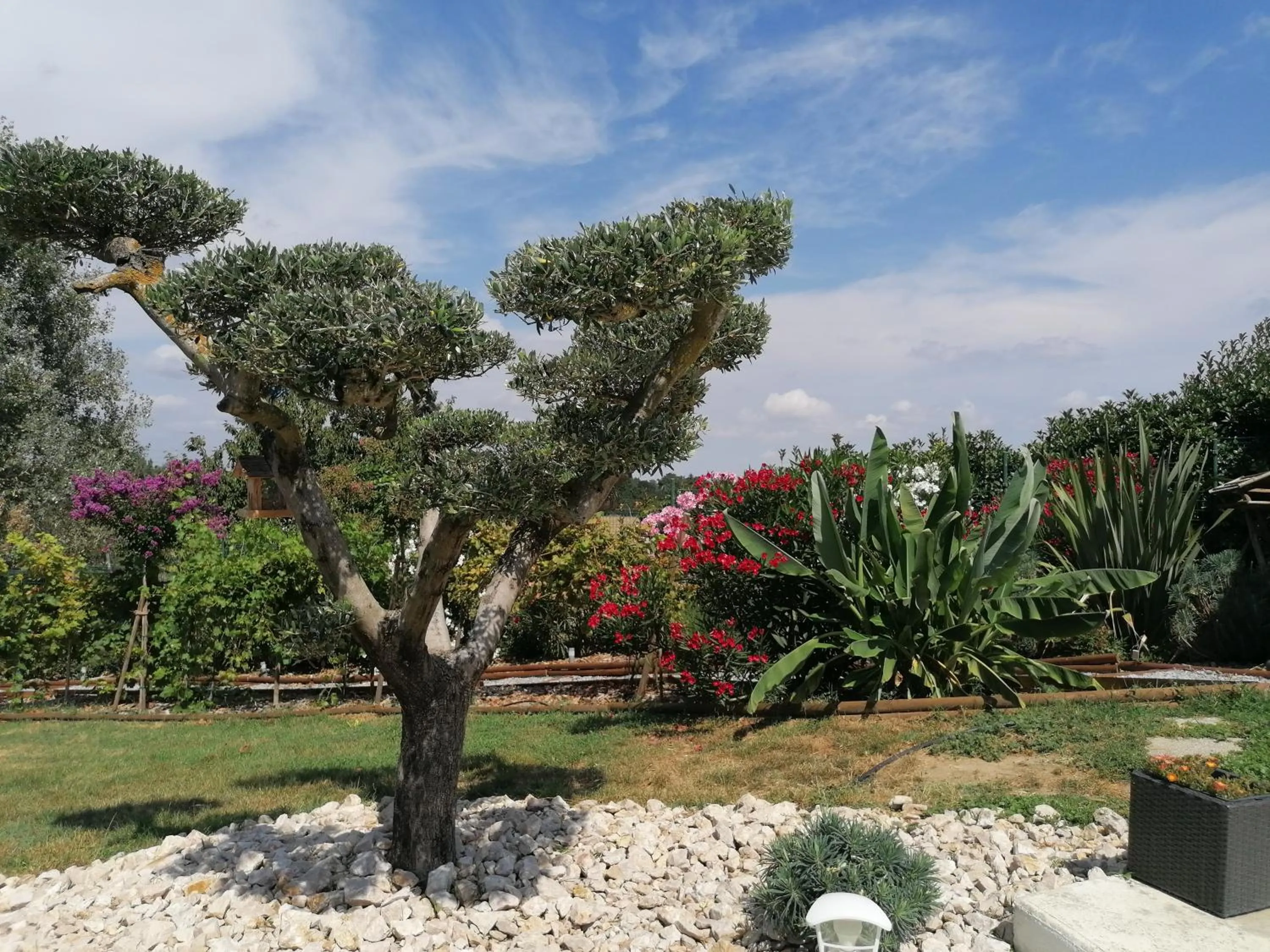 Garden view in La maison d'Hôtes Du Moulin