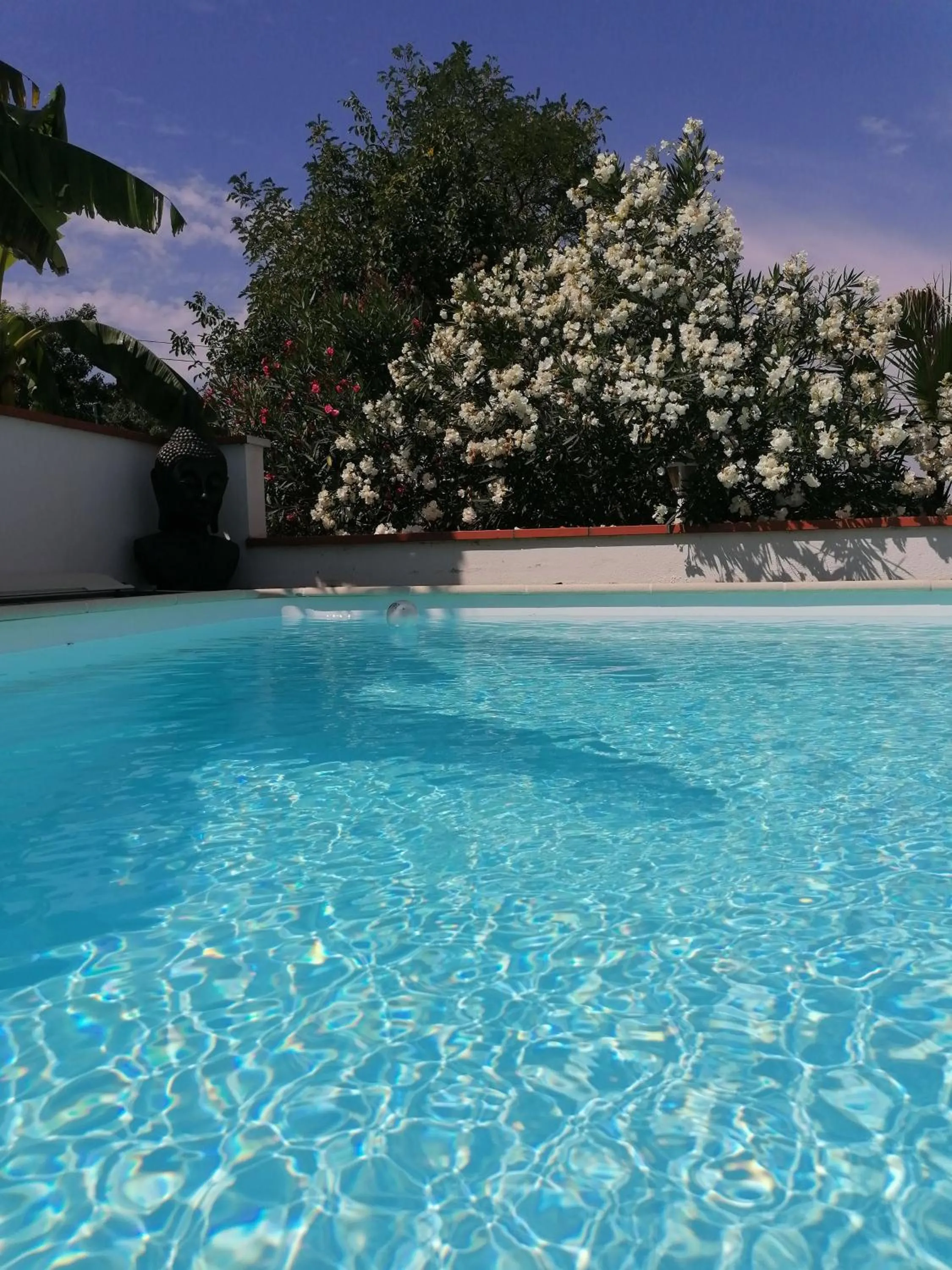 Swimming pool in La maison d'Hôtes Du Moulin
