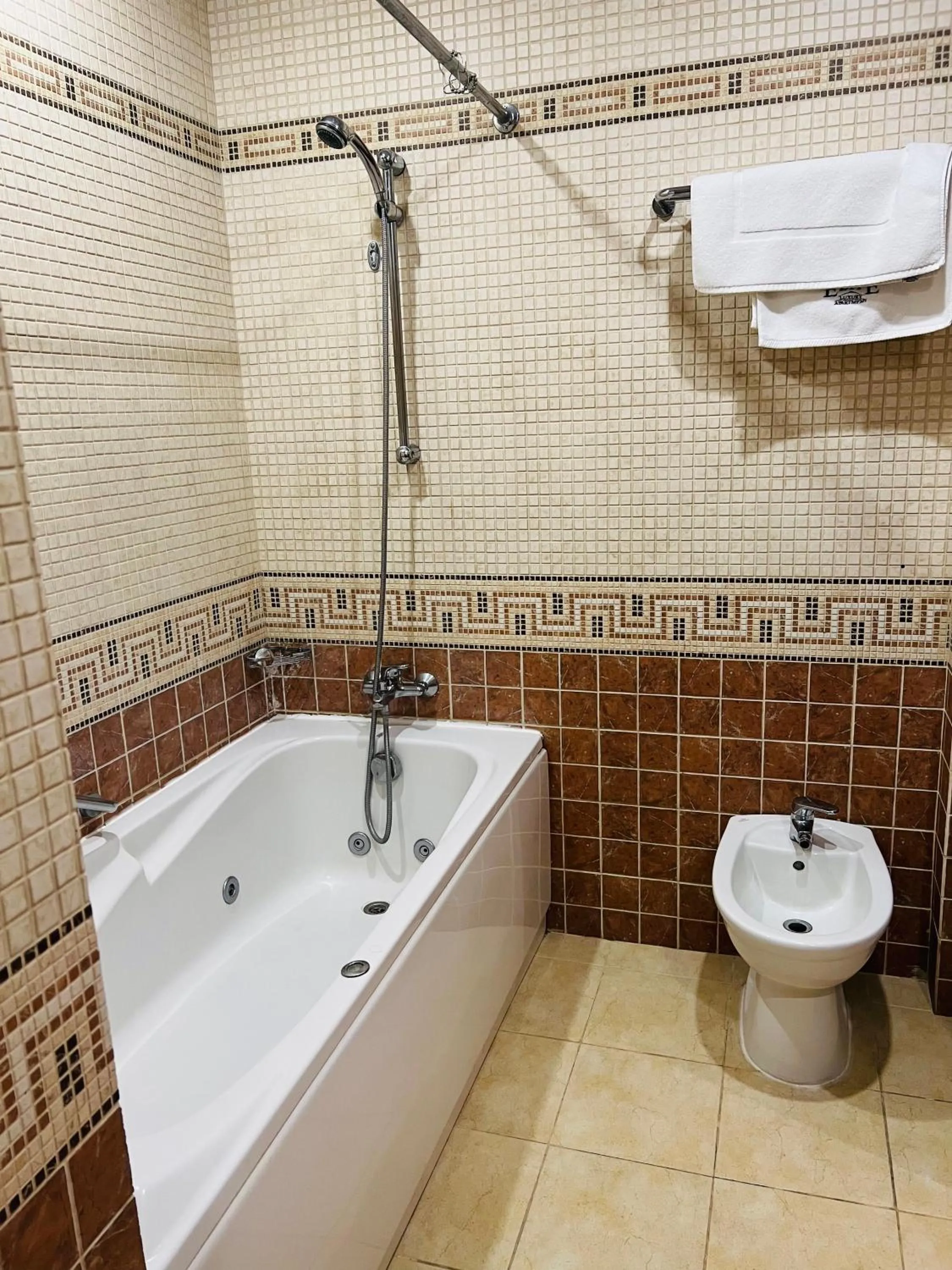 Bathroom in Elite Tower