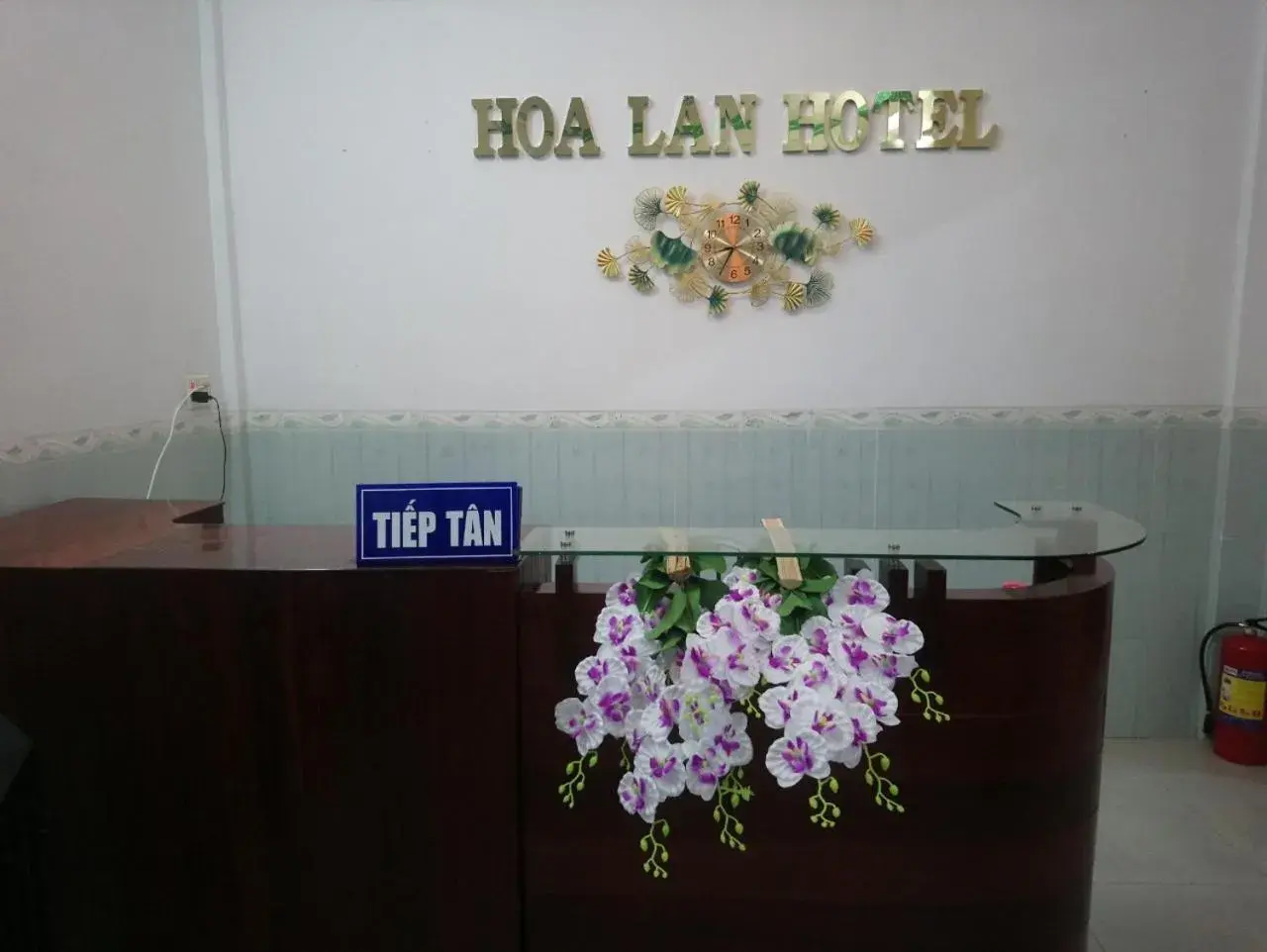 Hoa Lan Hoa Lan