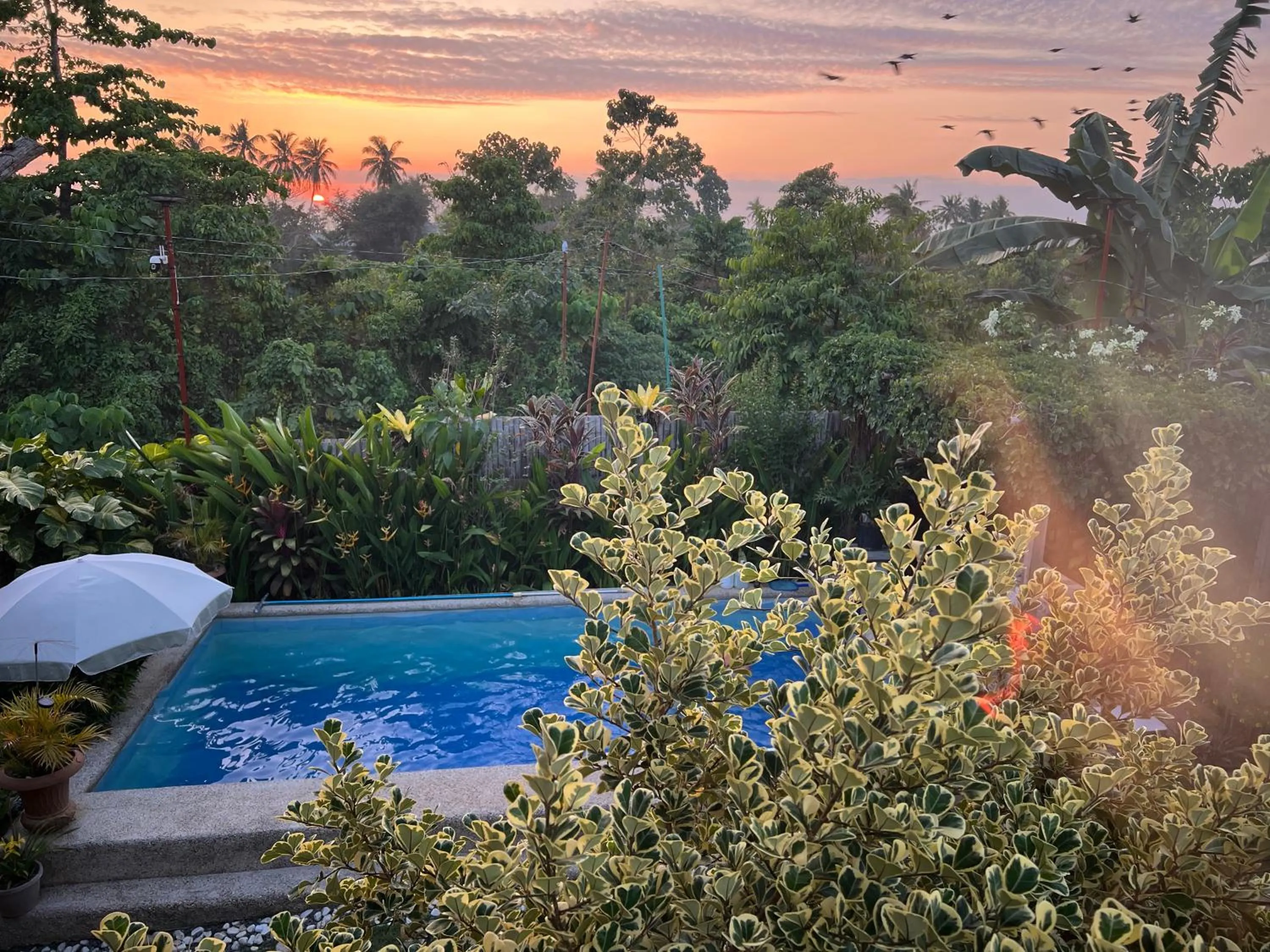 Casas de Ruumar Bed and Breakfast-Bar-Two rooms for family available