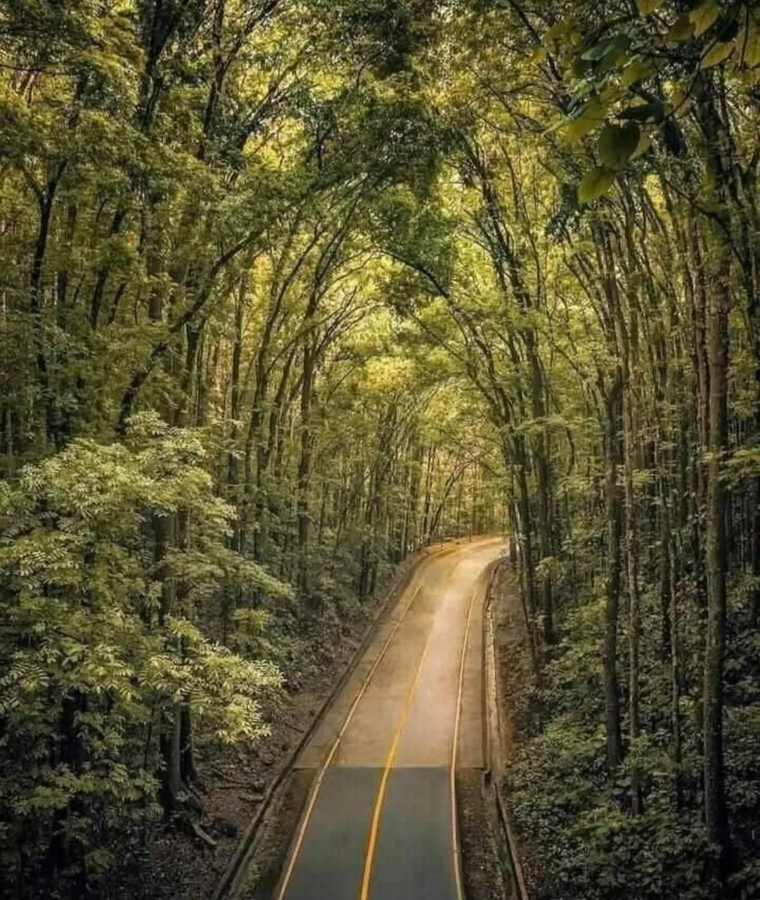 Casas de Ruumar Bed and Breakfast-Bar-Two rooms for family available