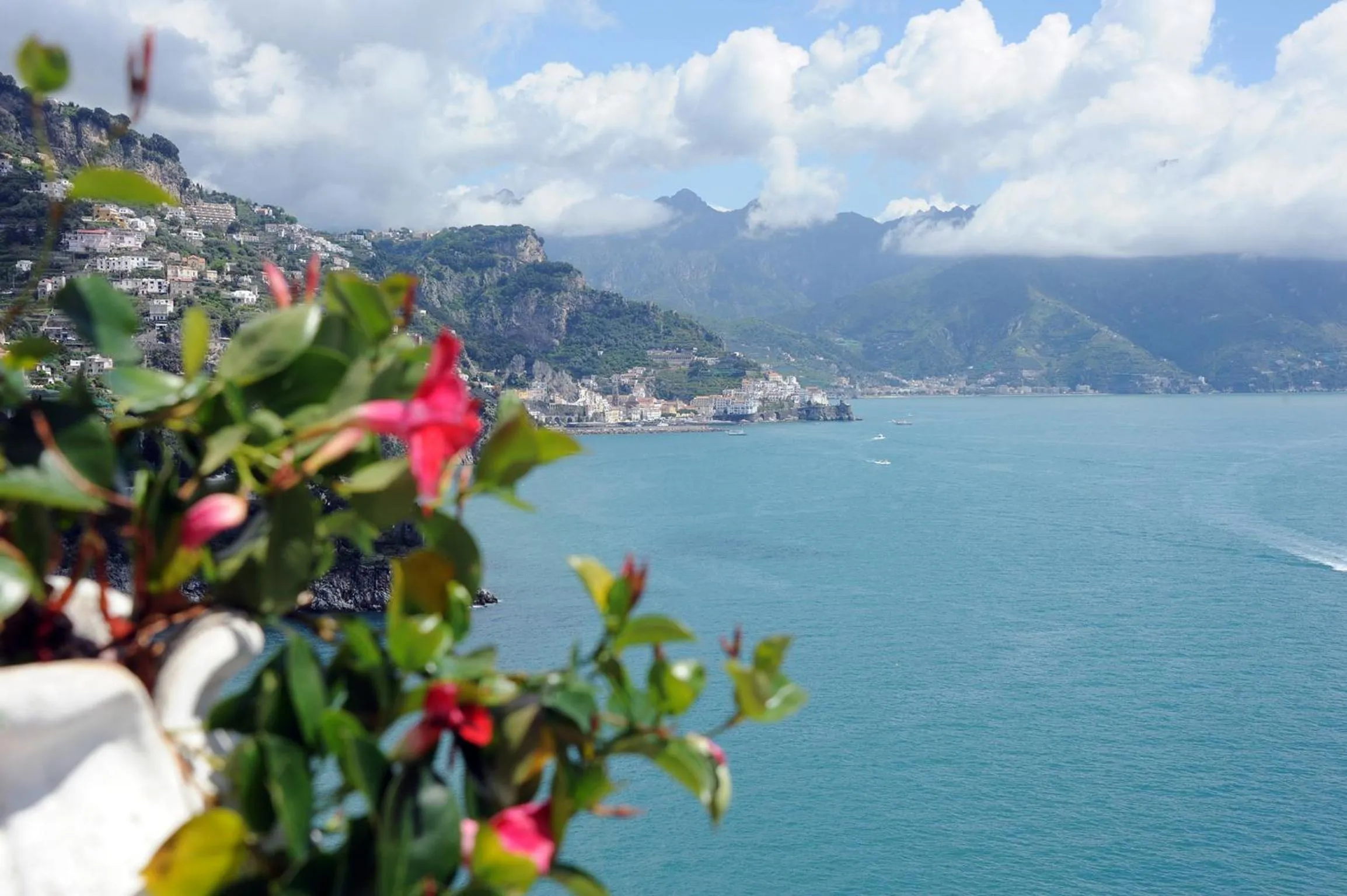 View (from property/room) in Hotel Belvedere