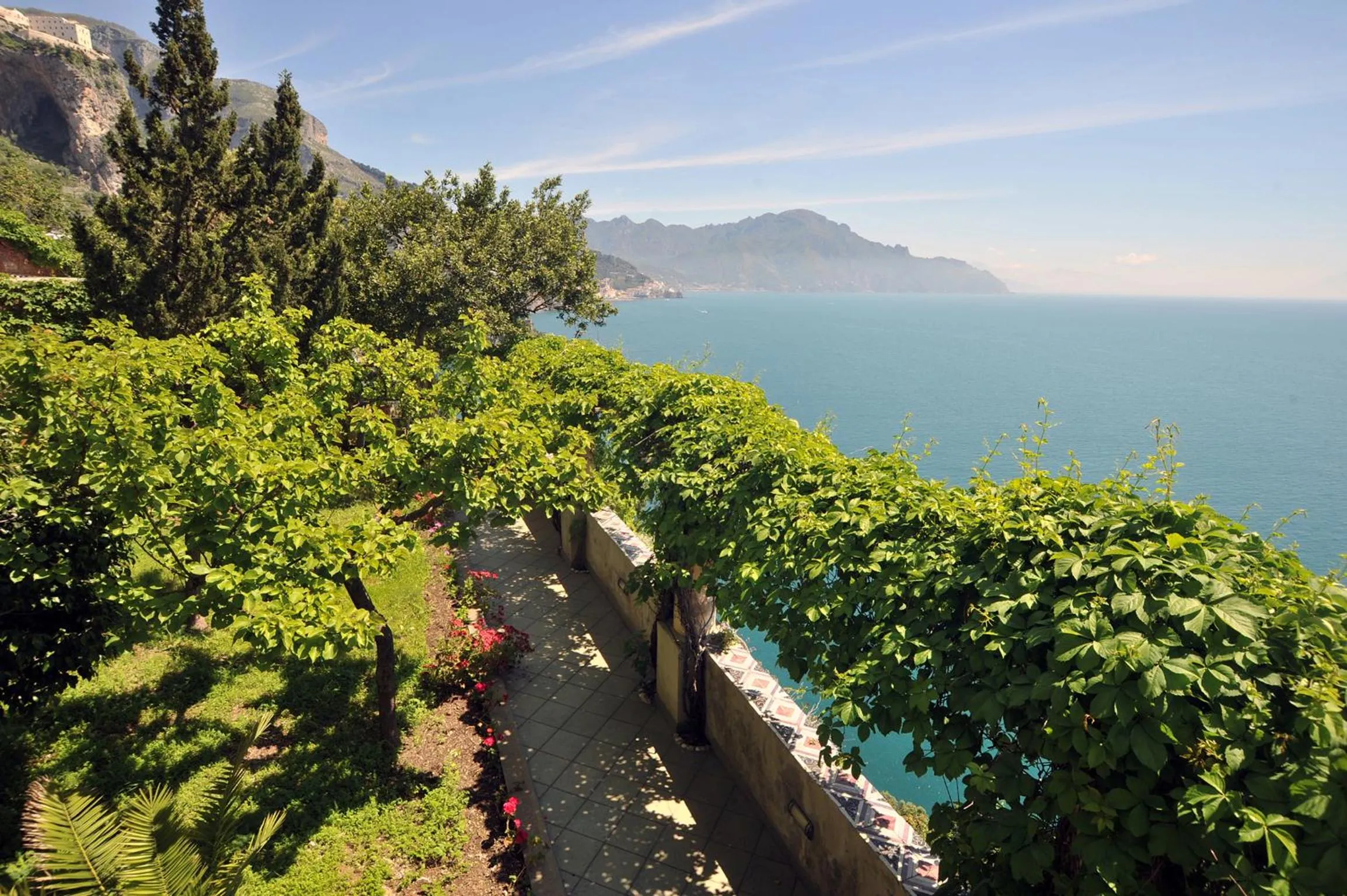 Garden in Hotel Belvedere