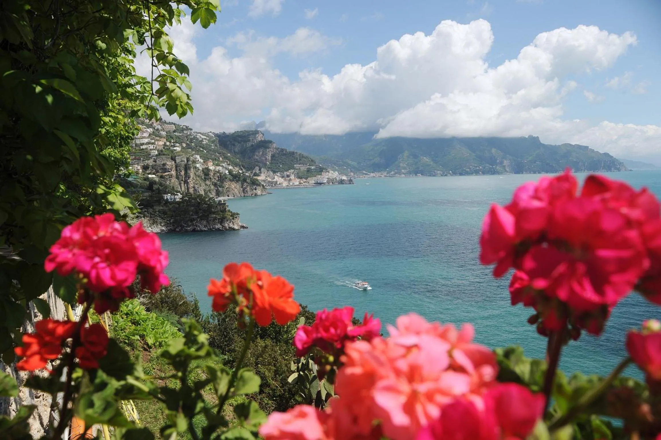 View (from property/room) in Hotel Belvedere