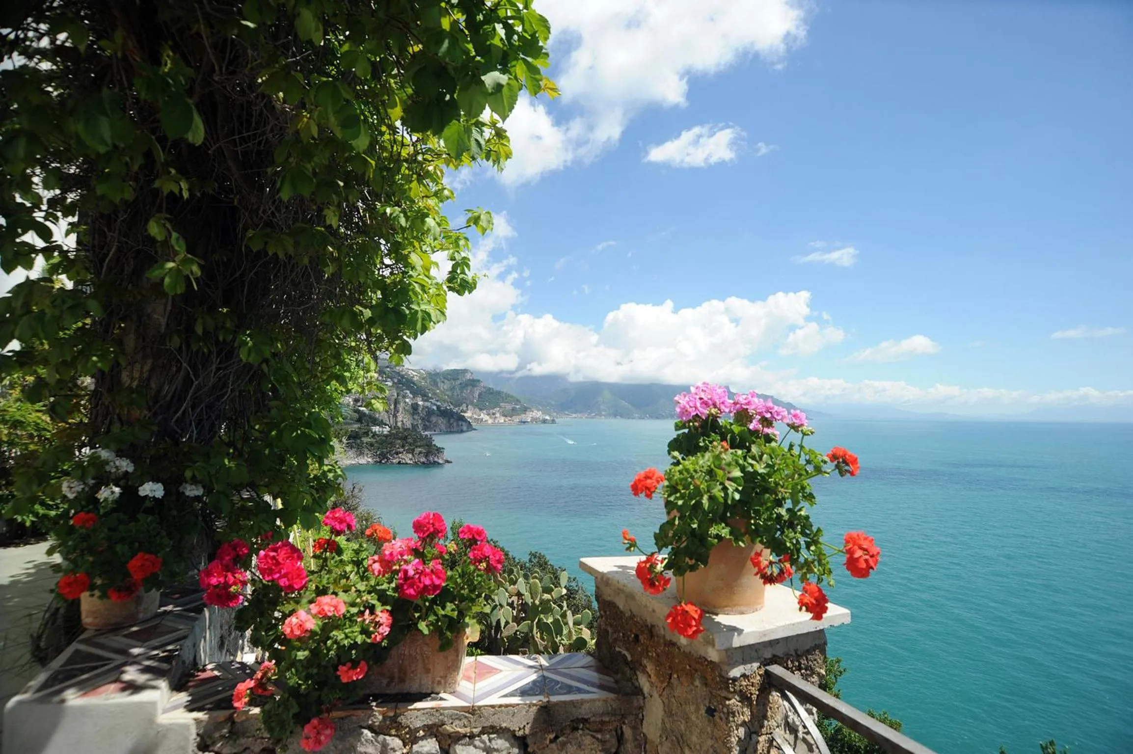 View (from property/room) in Hotel Belvedere