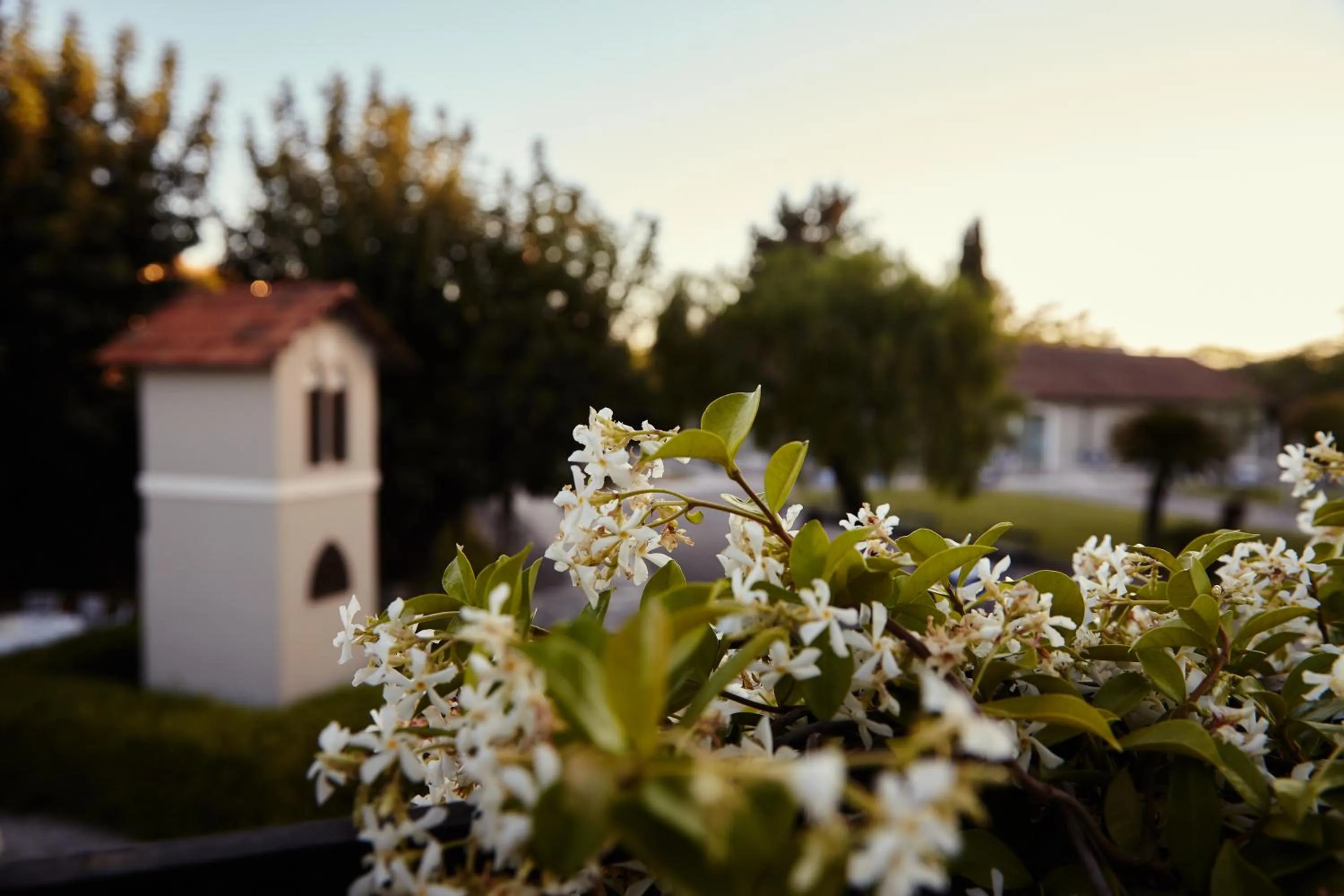 Garden in Mercure Villa Romanazzi Carducci Bari