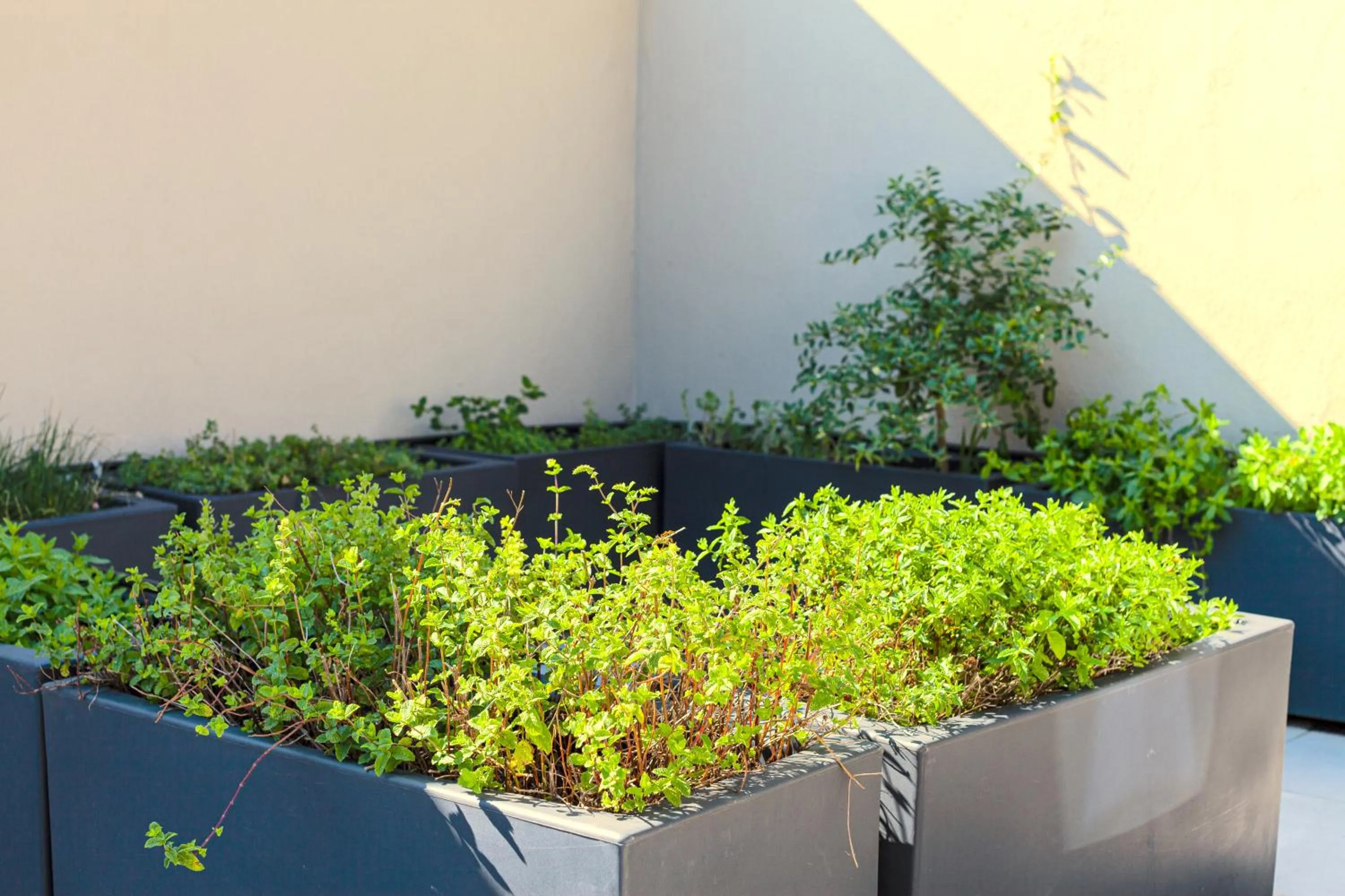 Garden in Mercure Villa Romanazzi Carducci Bari