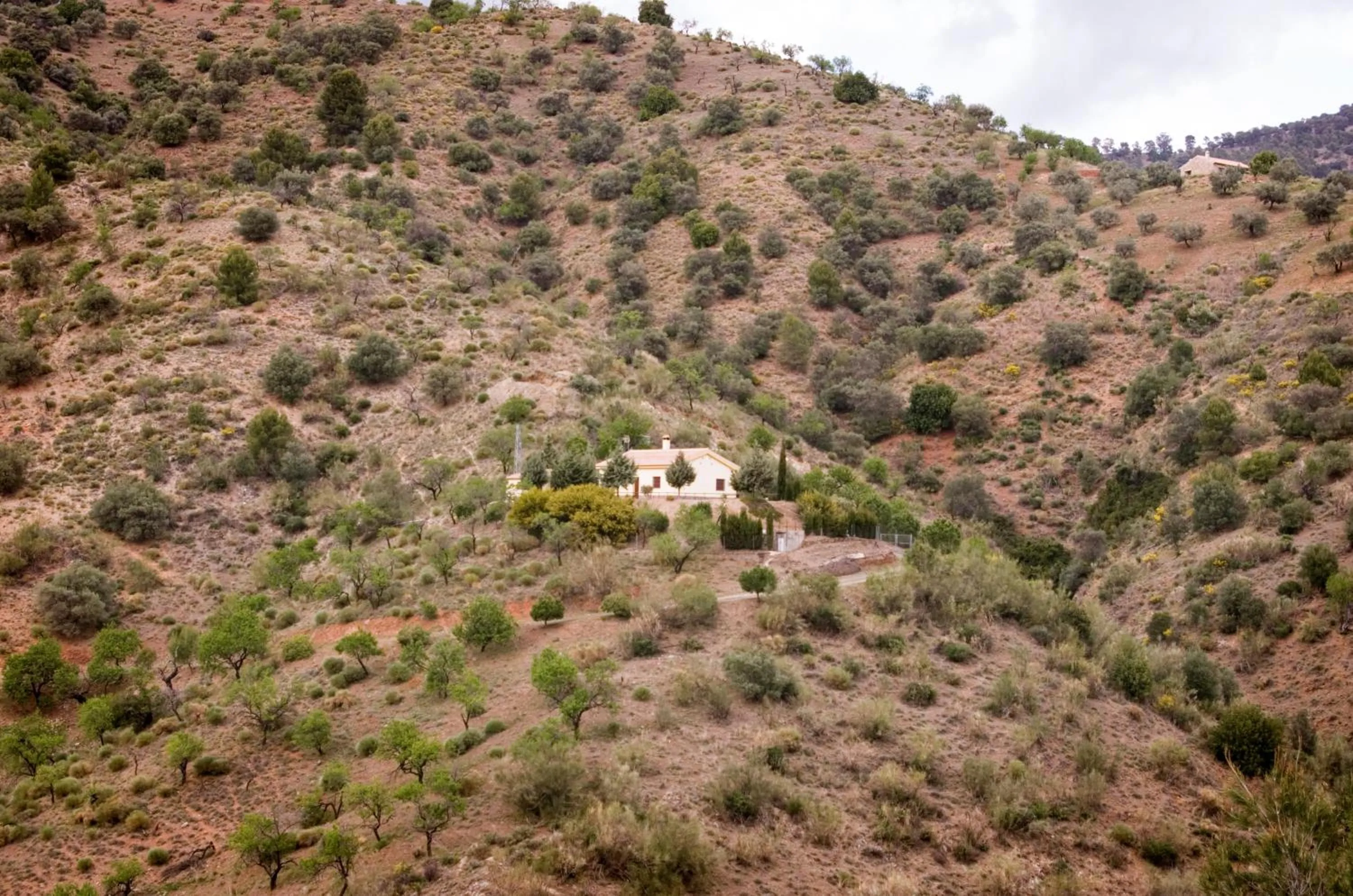 Rural Montes Málaga: Finca Pedregales