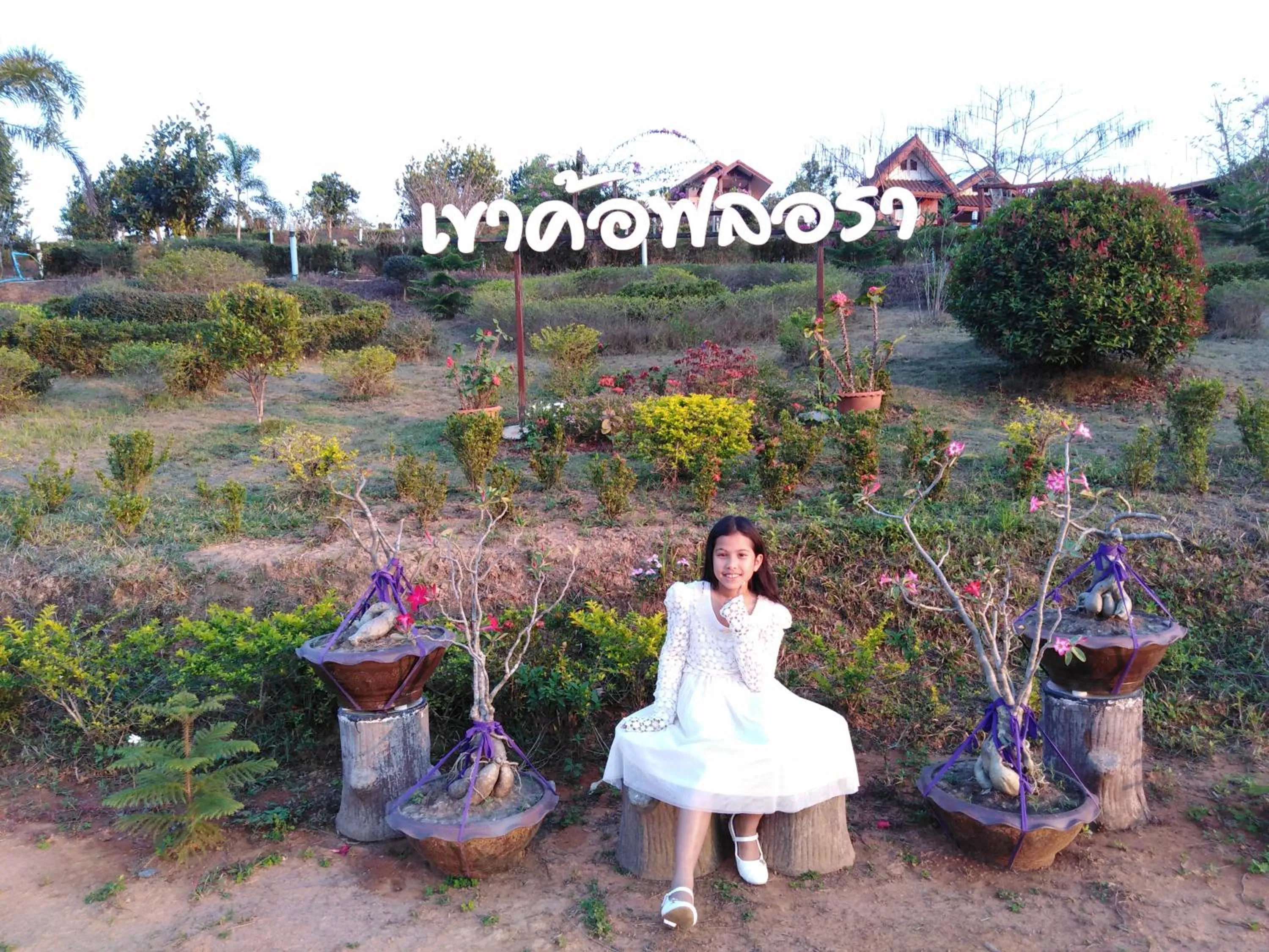 Khao Kho Flora