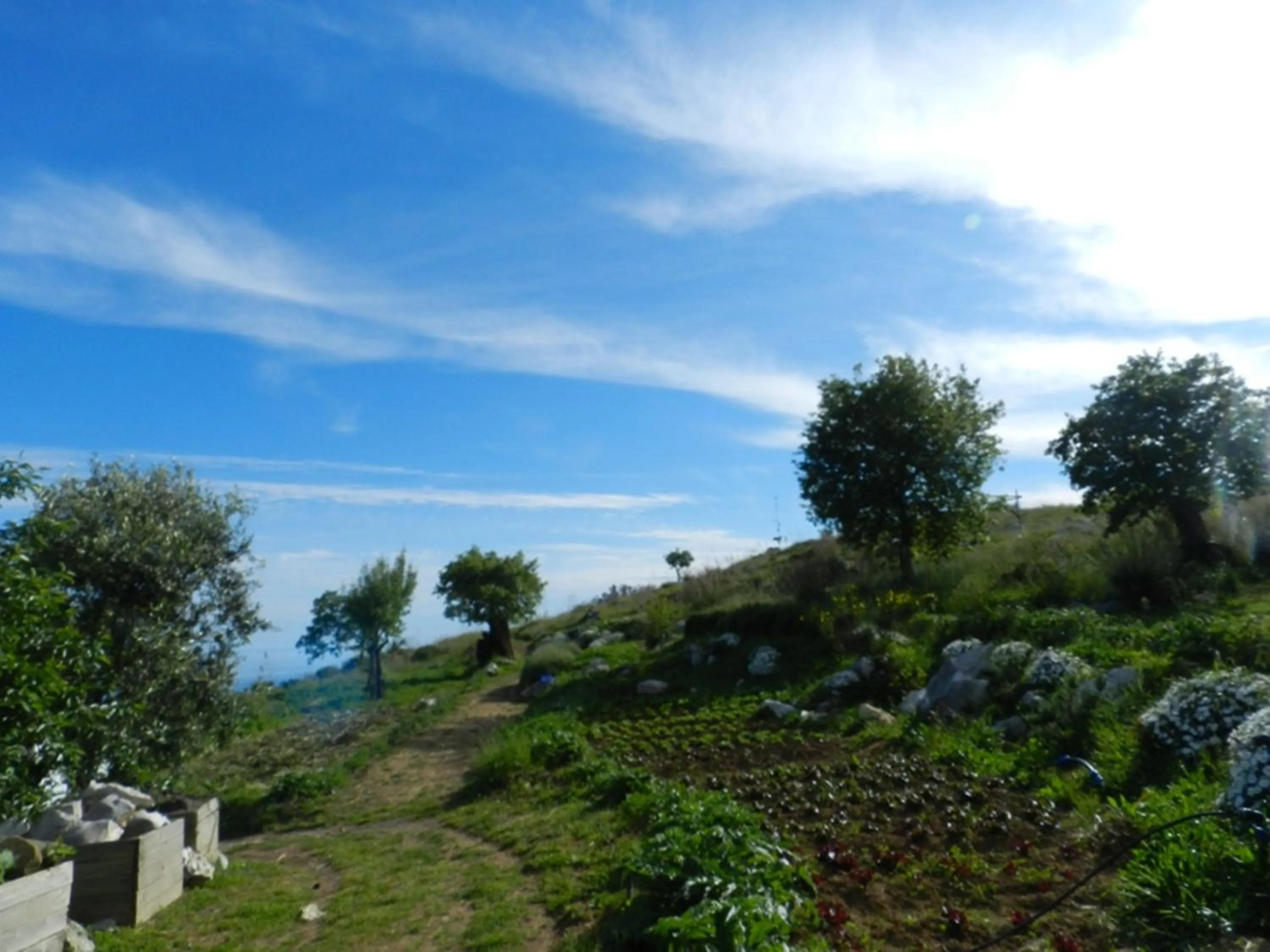 Day in Agriturismo Fattoria Terranova