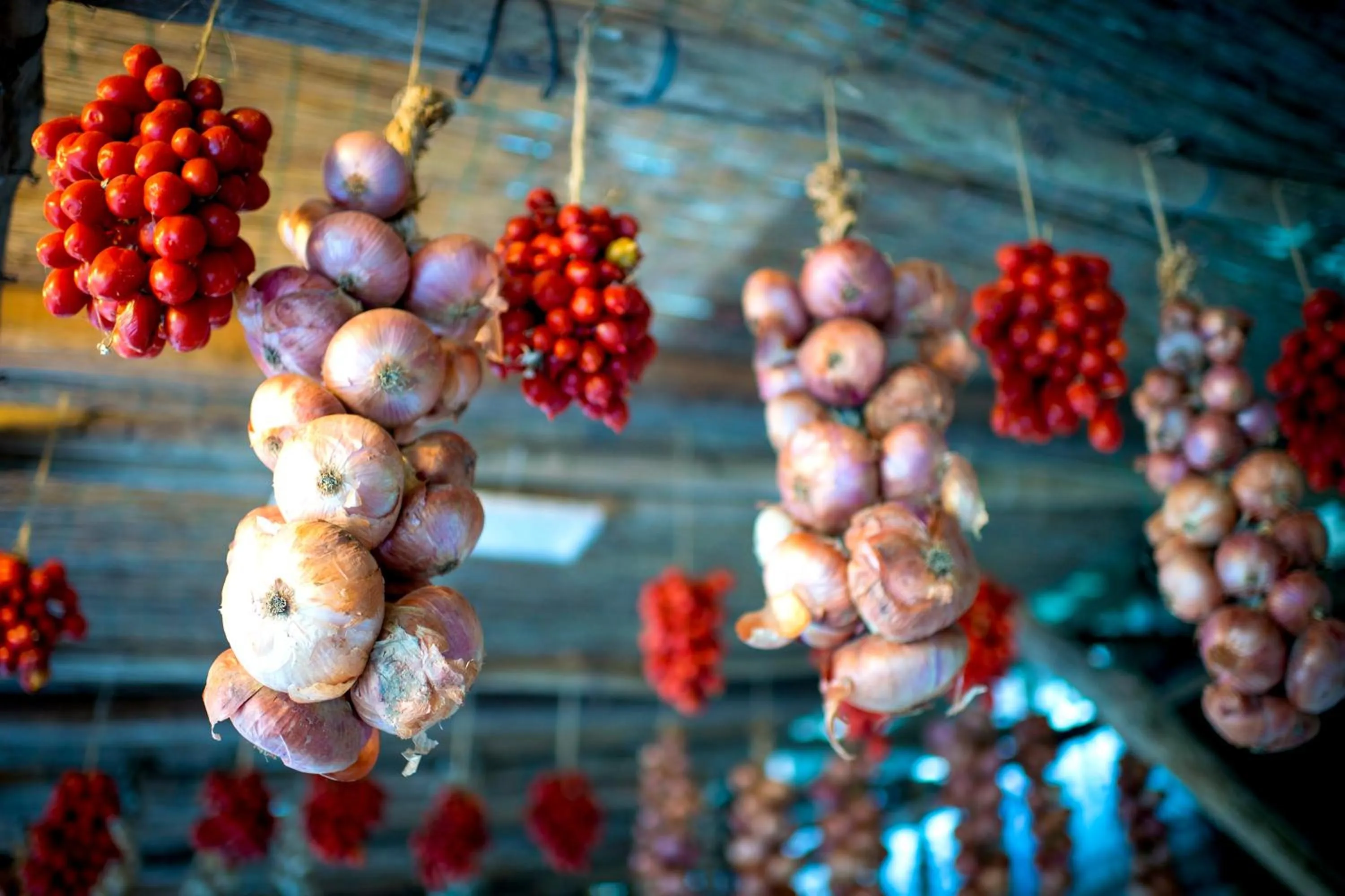 Restaurant/places to eat in Agriturismo Fattoria Terranova