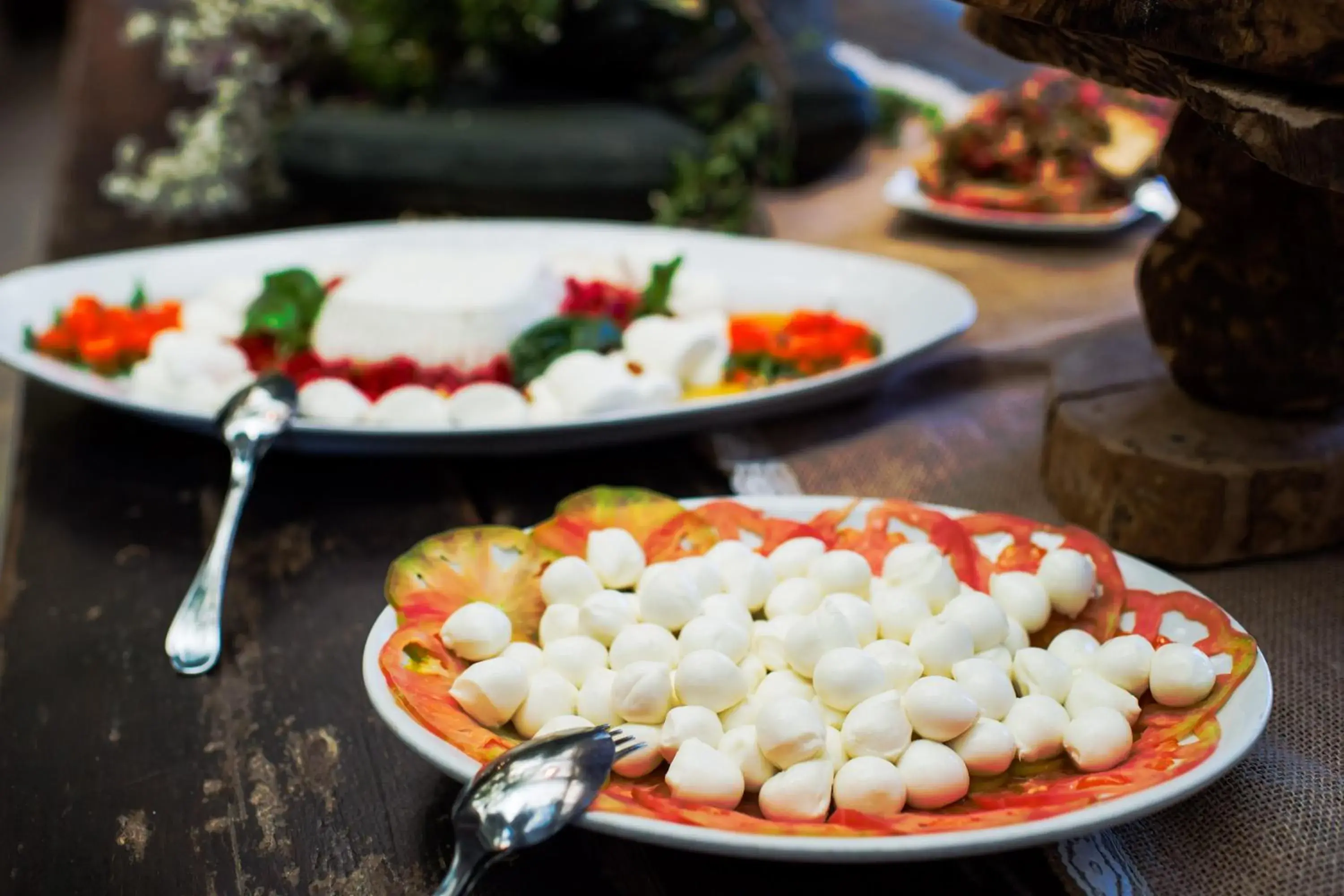 Restaurant/places to eat in Agriturismo Fattoria Terranova Restaurant/places to eat in Agriturismo Fattoria Terranova