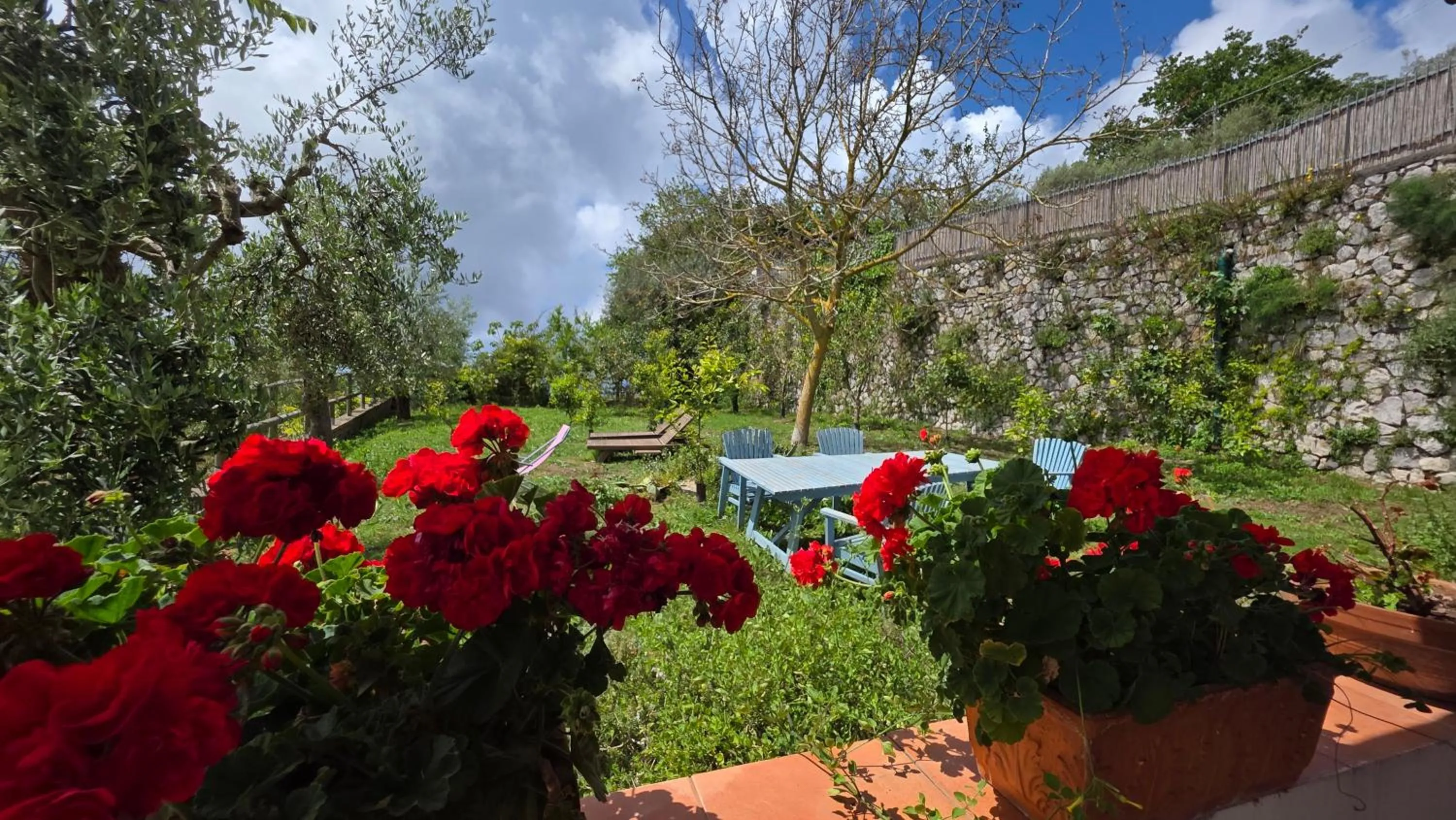 Spring in Agriturismo Fattoria Terranova