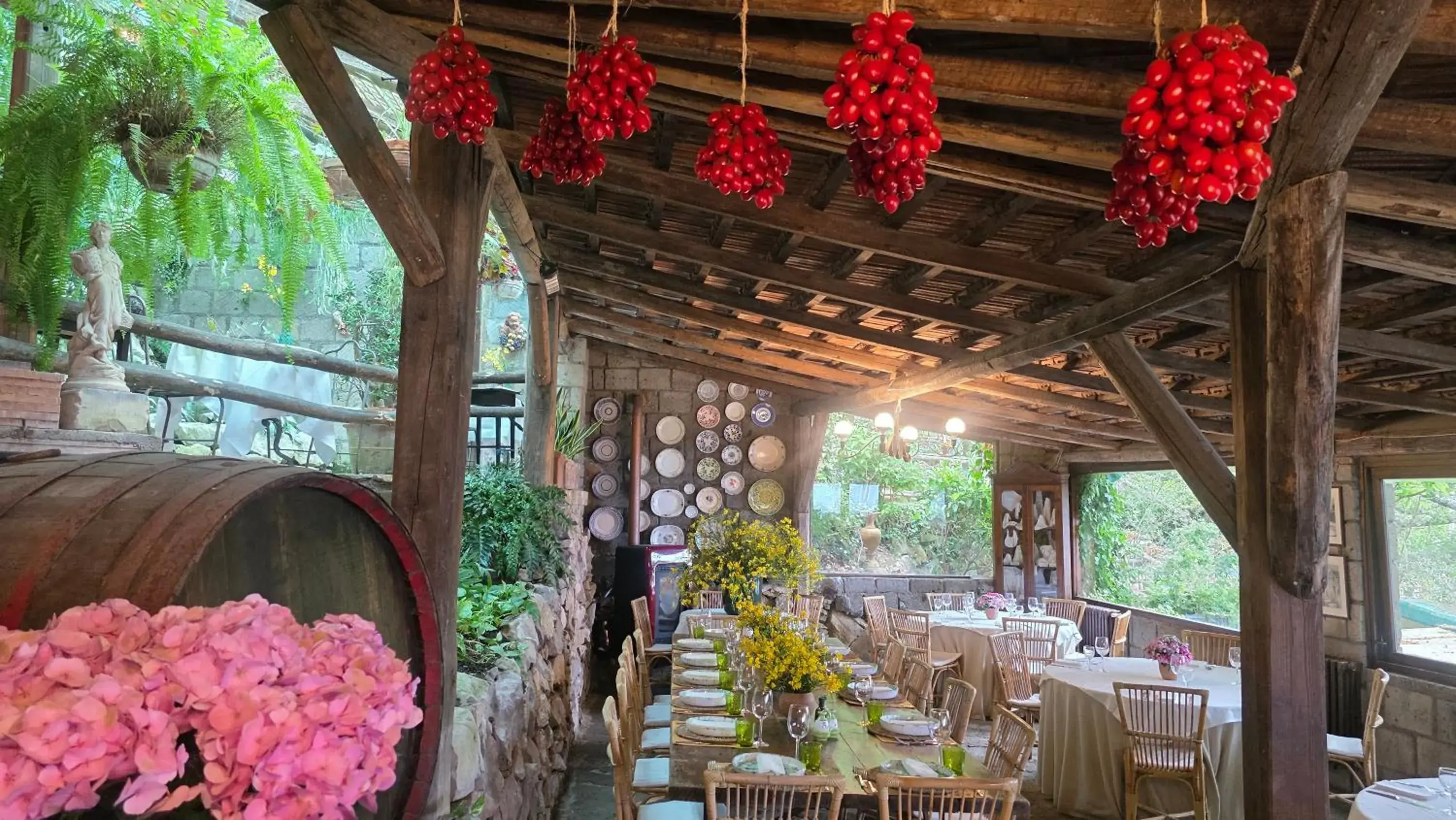 Restaurant/places to eat in Agriturismo Fattoria Terranova Restaurant/places to eat in Agriturismo Fattoria Terranova