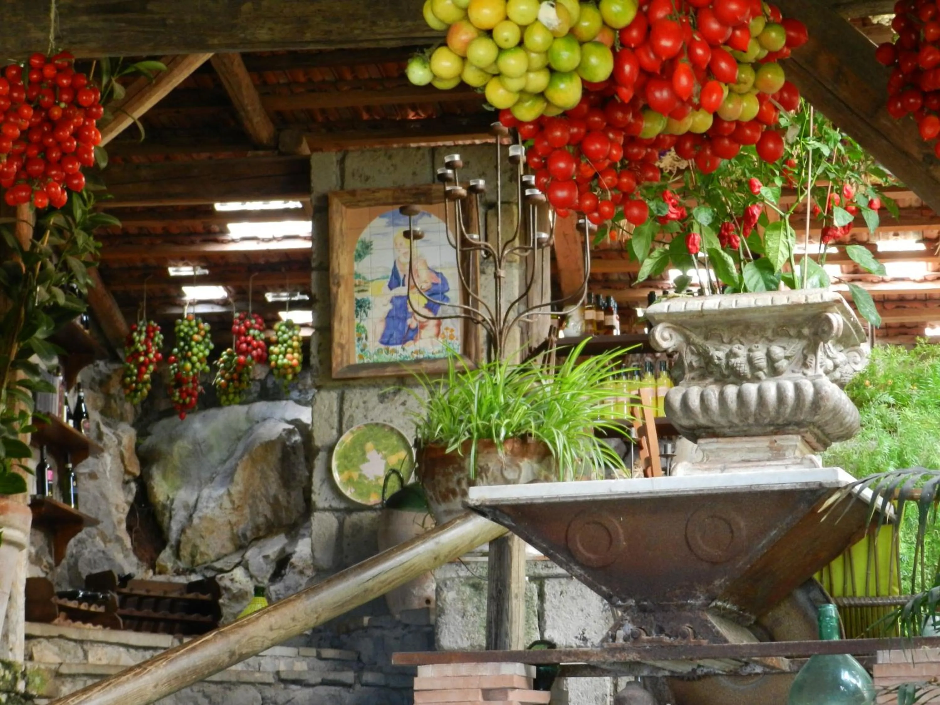 Restaurant/places to eat in Agriturismo Fattoria Terranova