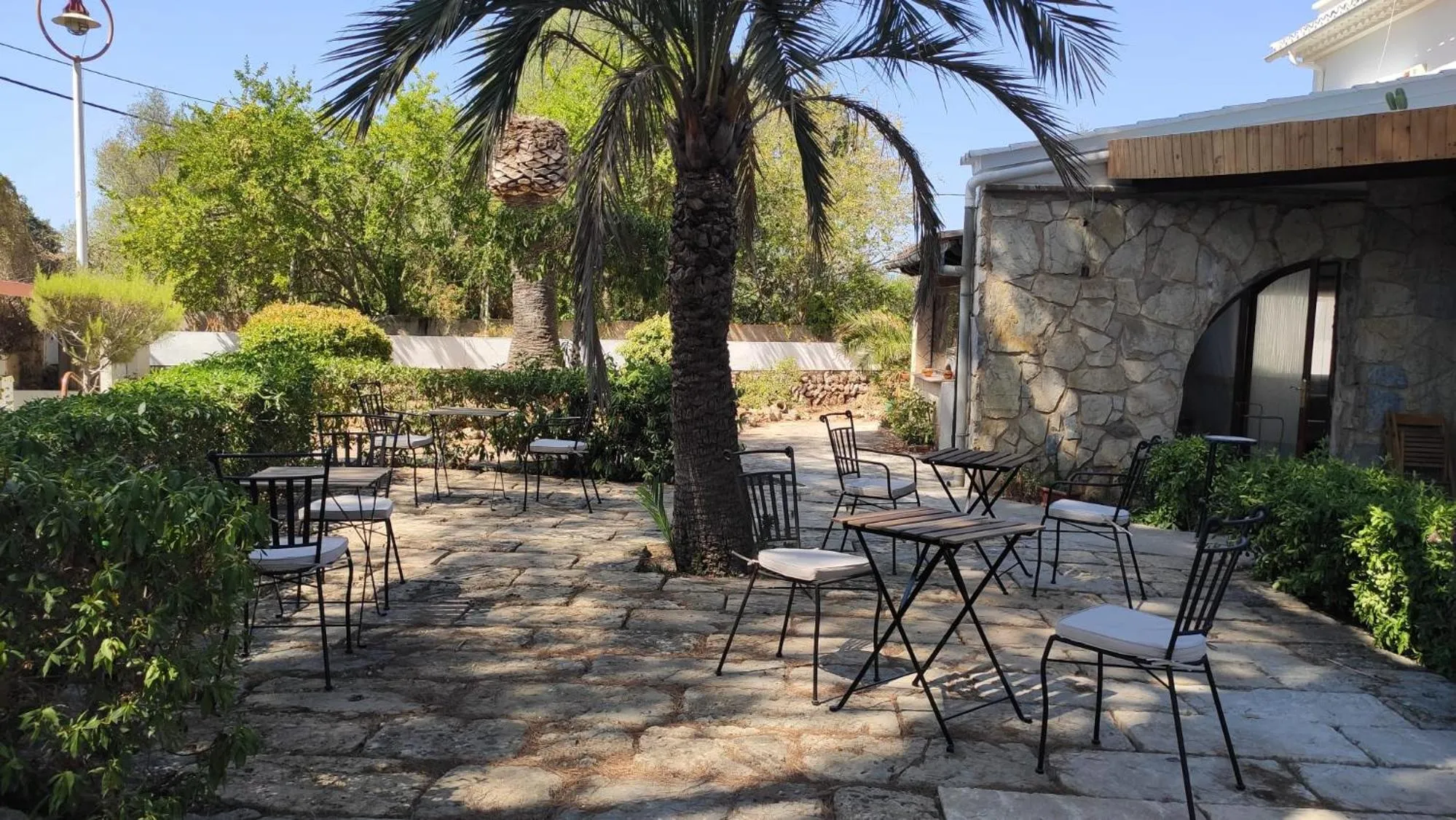 Patio in Hostal Residencia Alma