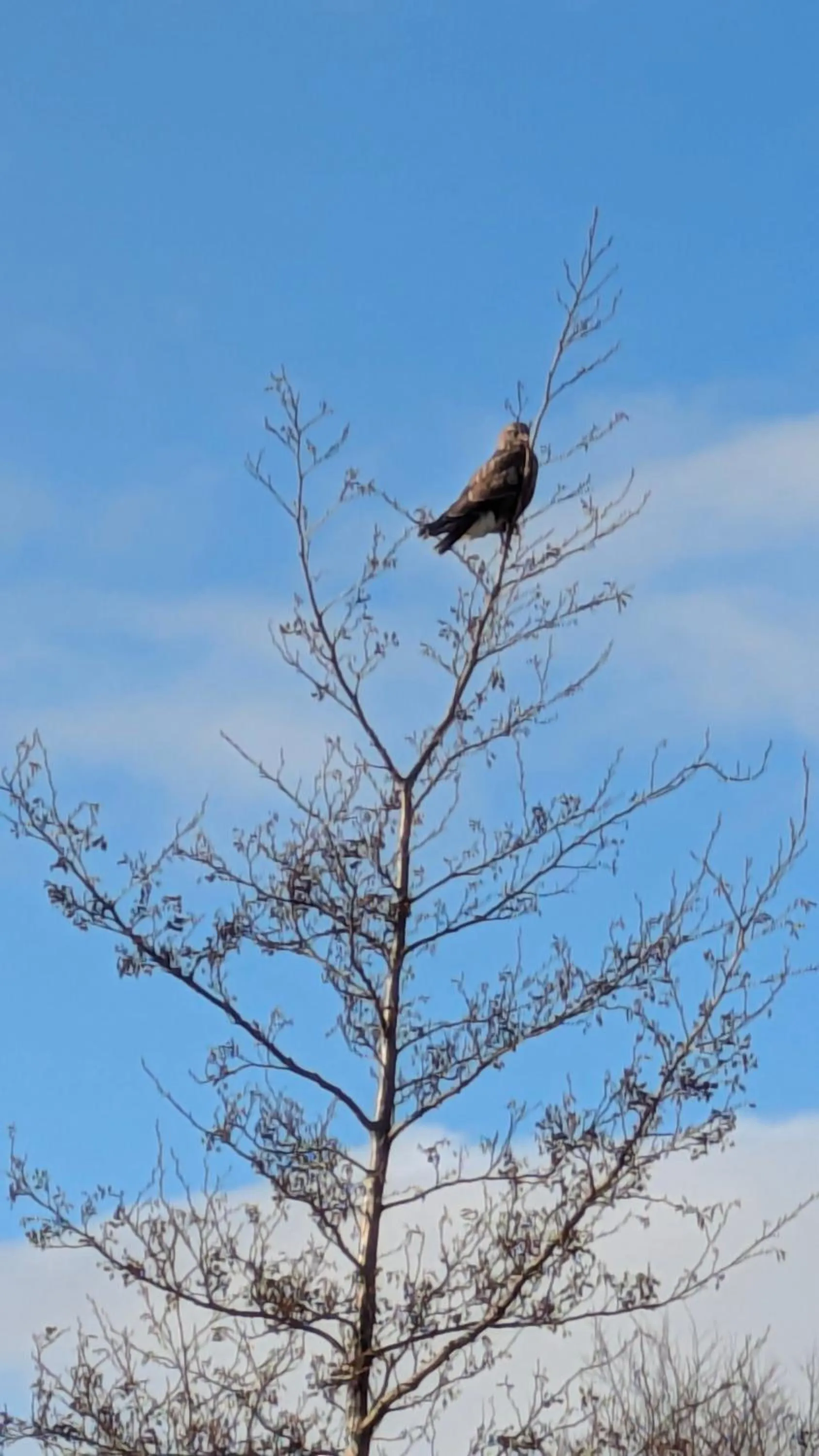 Day in Scorrybreac B&B
