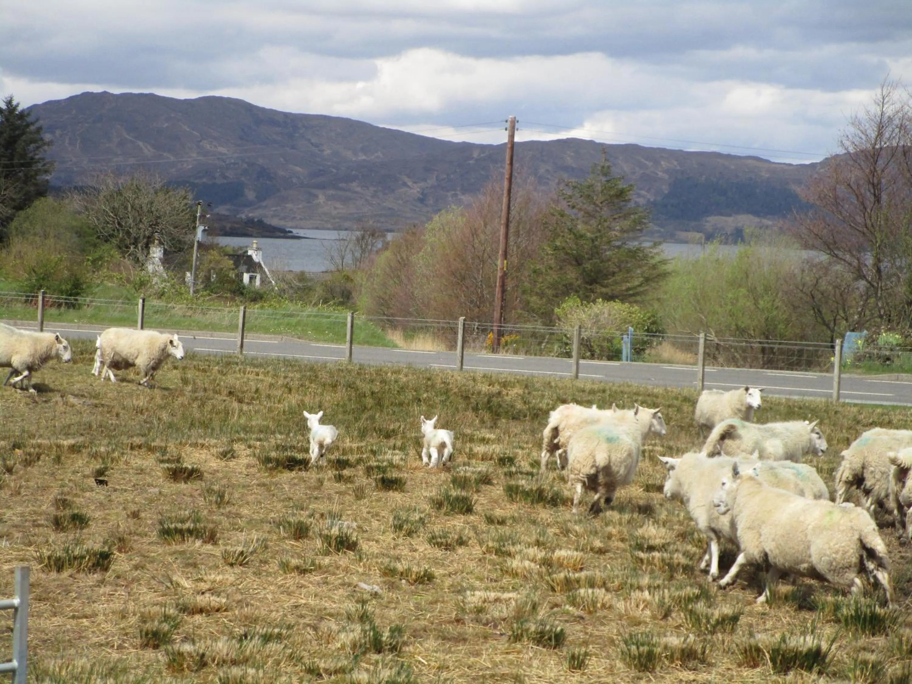 Spring in Scorrybreac B&B