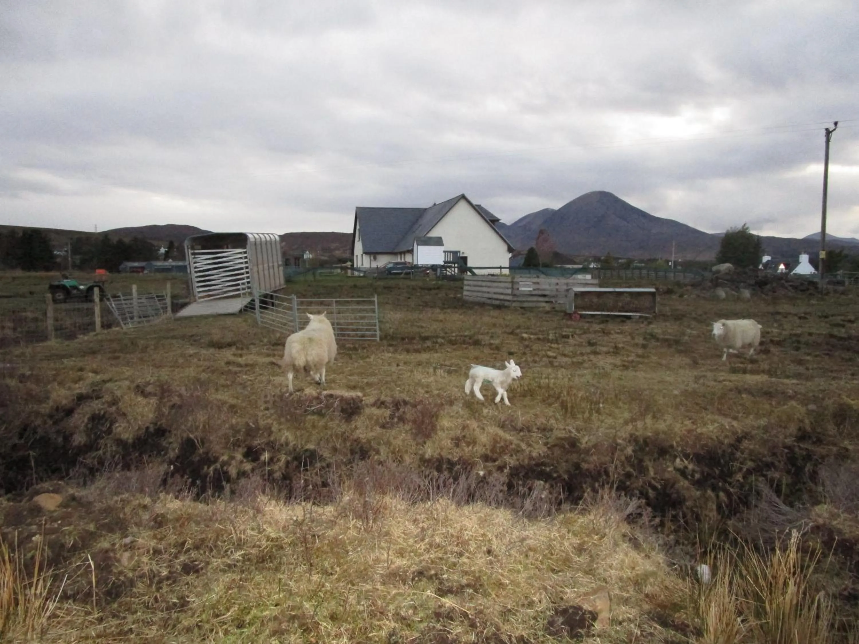 Day in Scorrybreac B&B