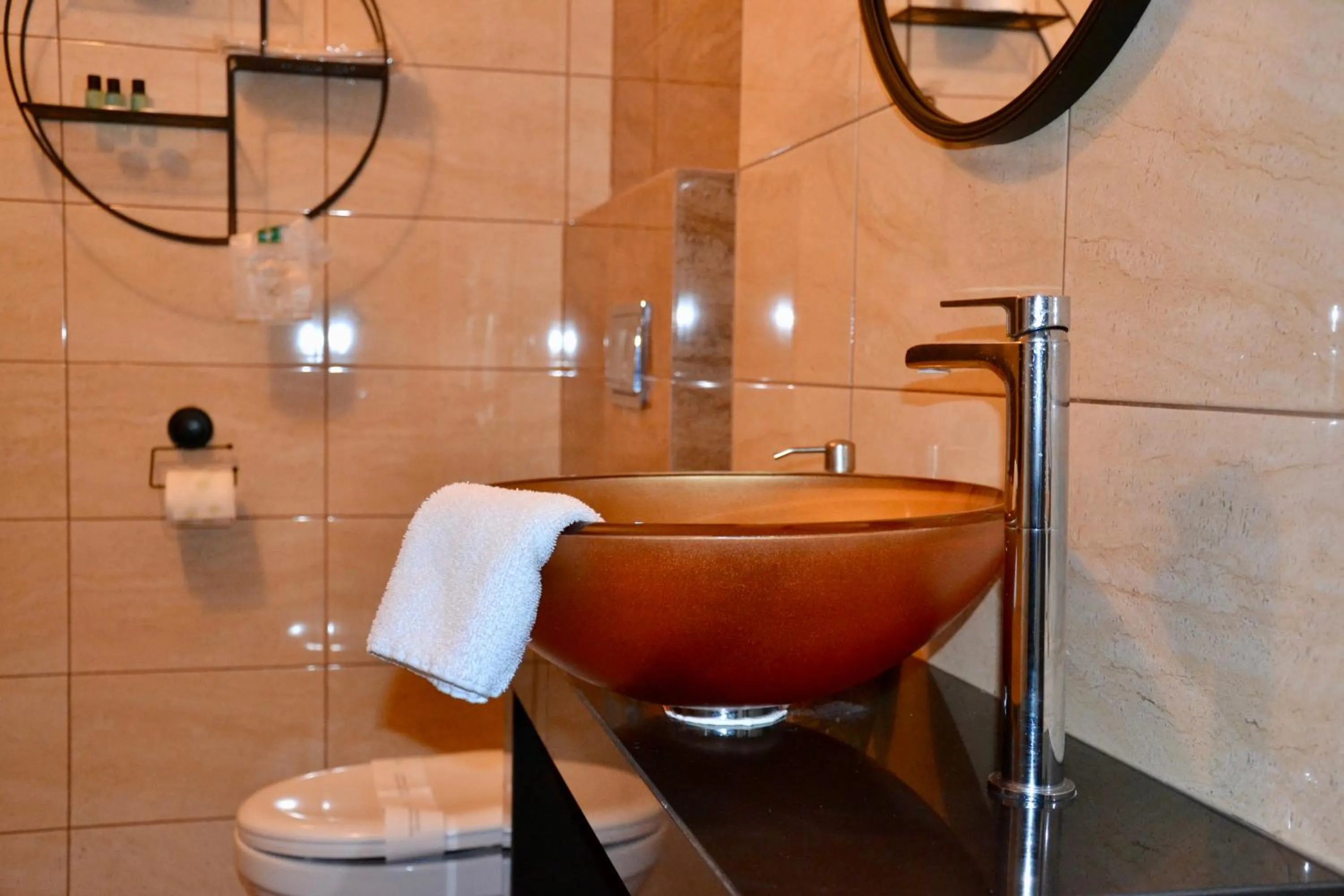 Toilet in Bursztynowa