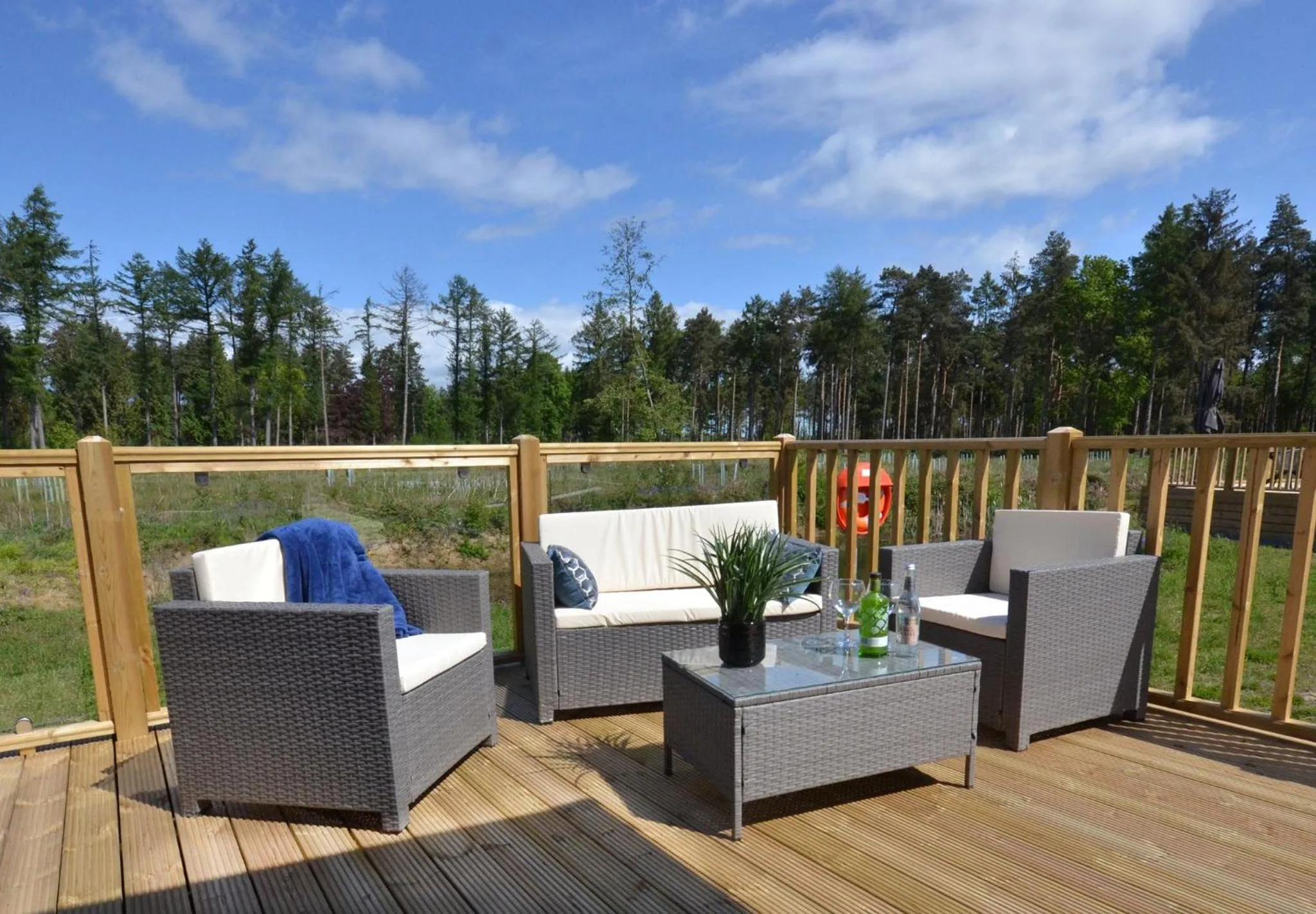 Property building in Hollicarrs - Lilypad Lodge