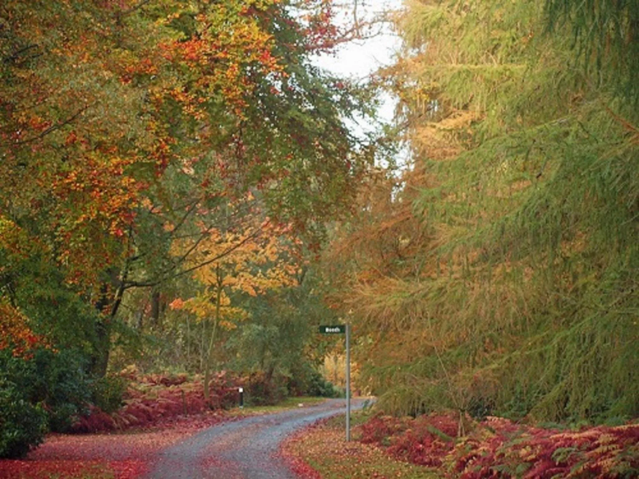 Garden in Hollicarrs - Lilypad Lodge