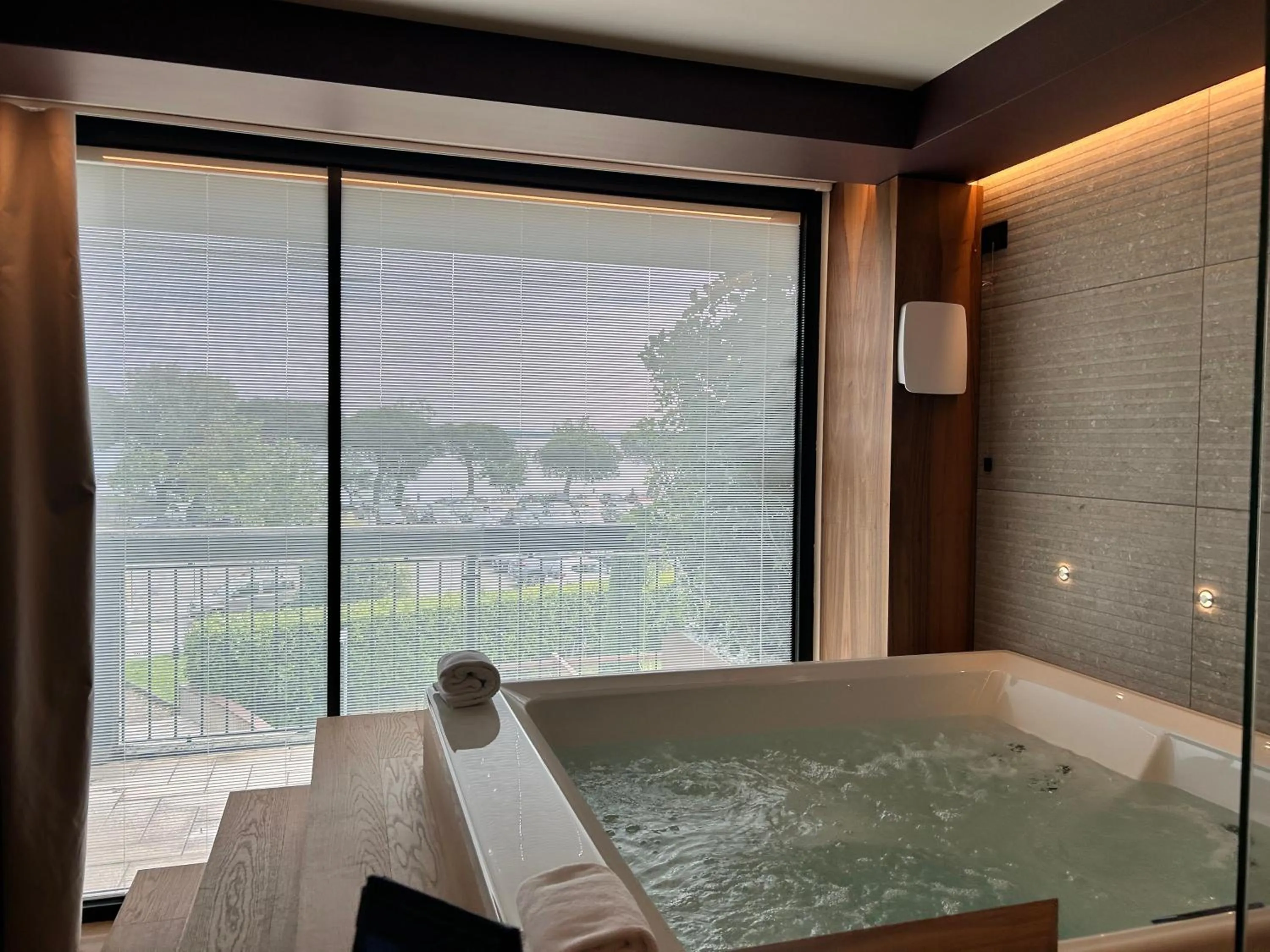 Natural landscape in Alevic Hotel Sirmione