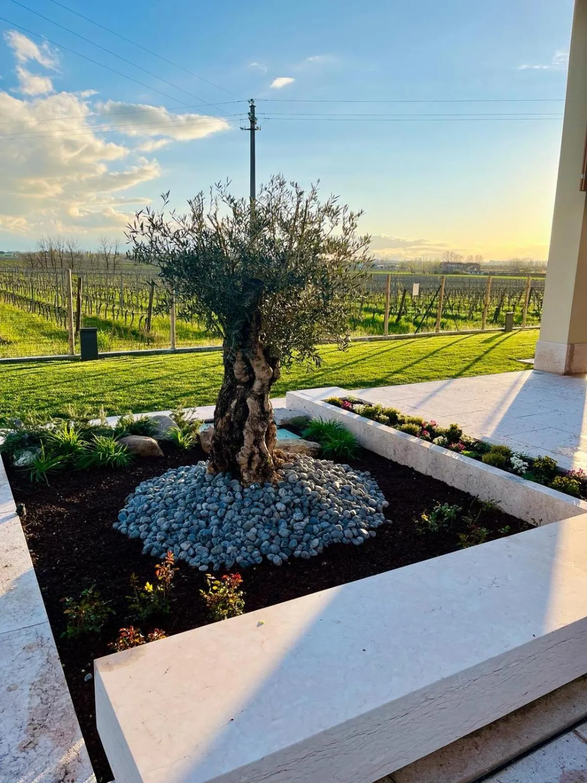 Inner courtyard view in Il Vigneto