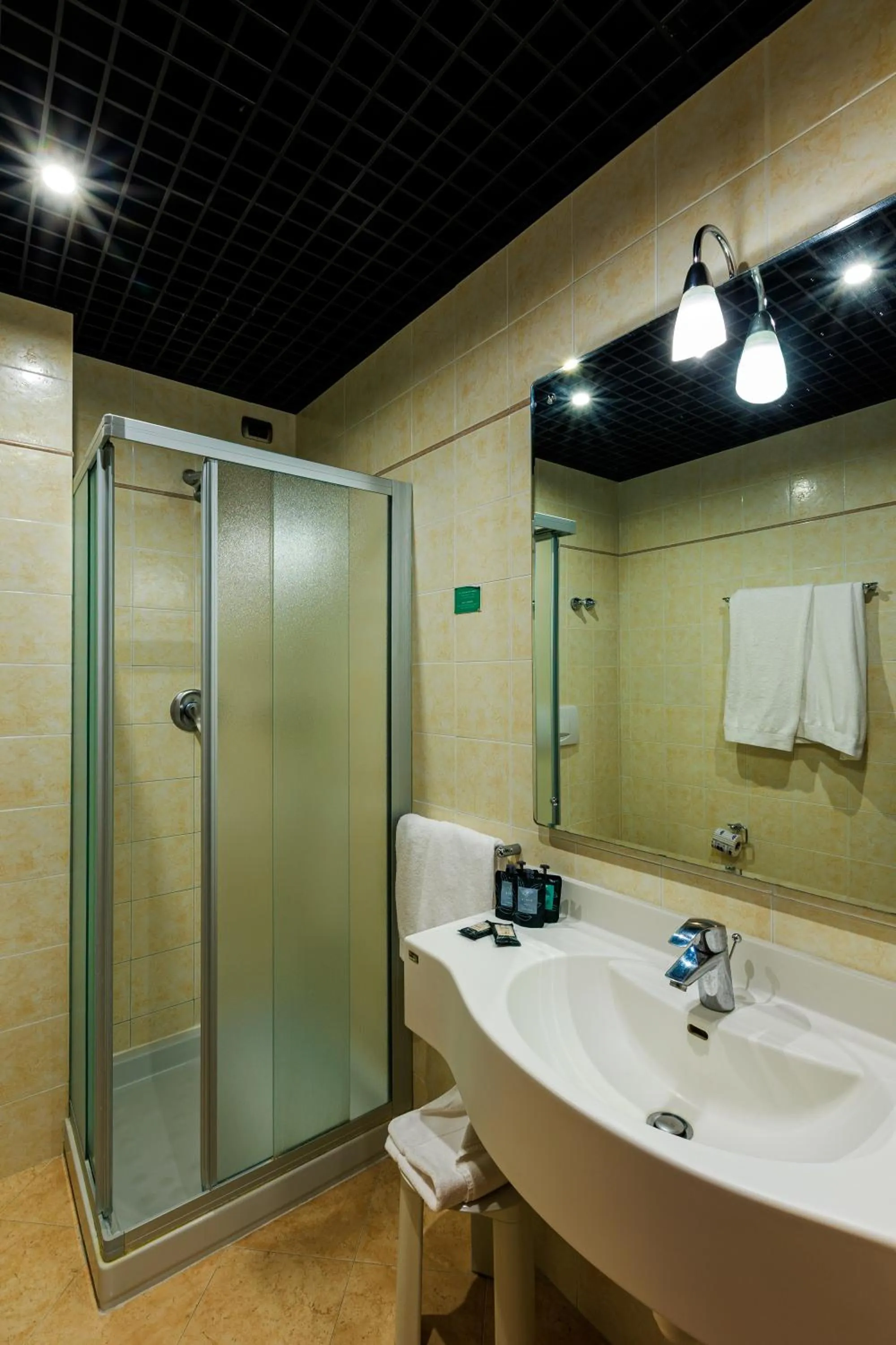 Hotel Excelsior Magenta