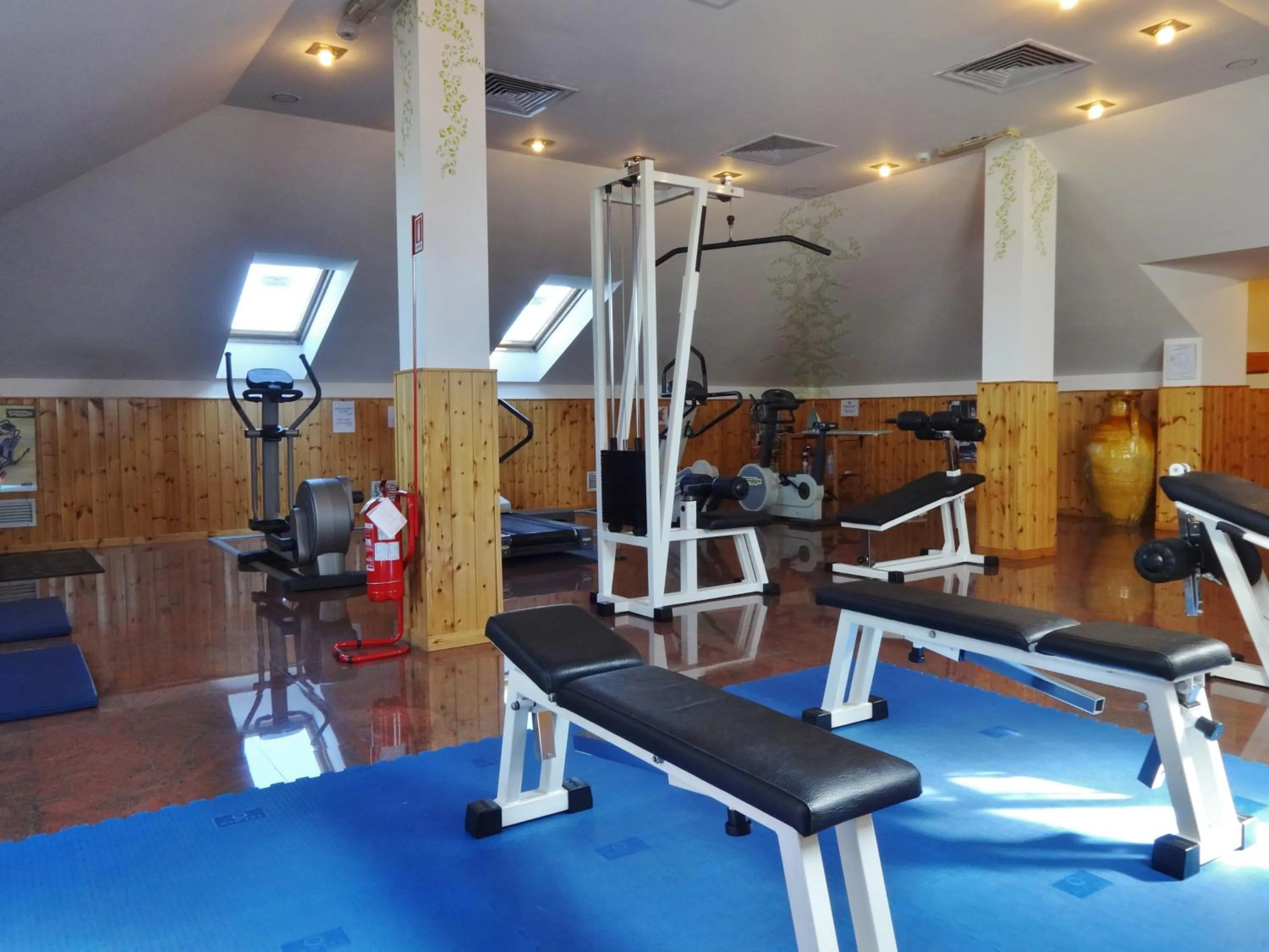 Fitness centre/facilities in Hotel Excelsior Magenta