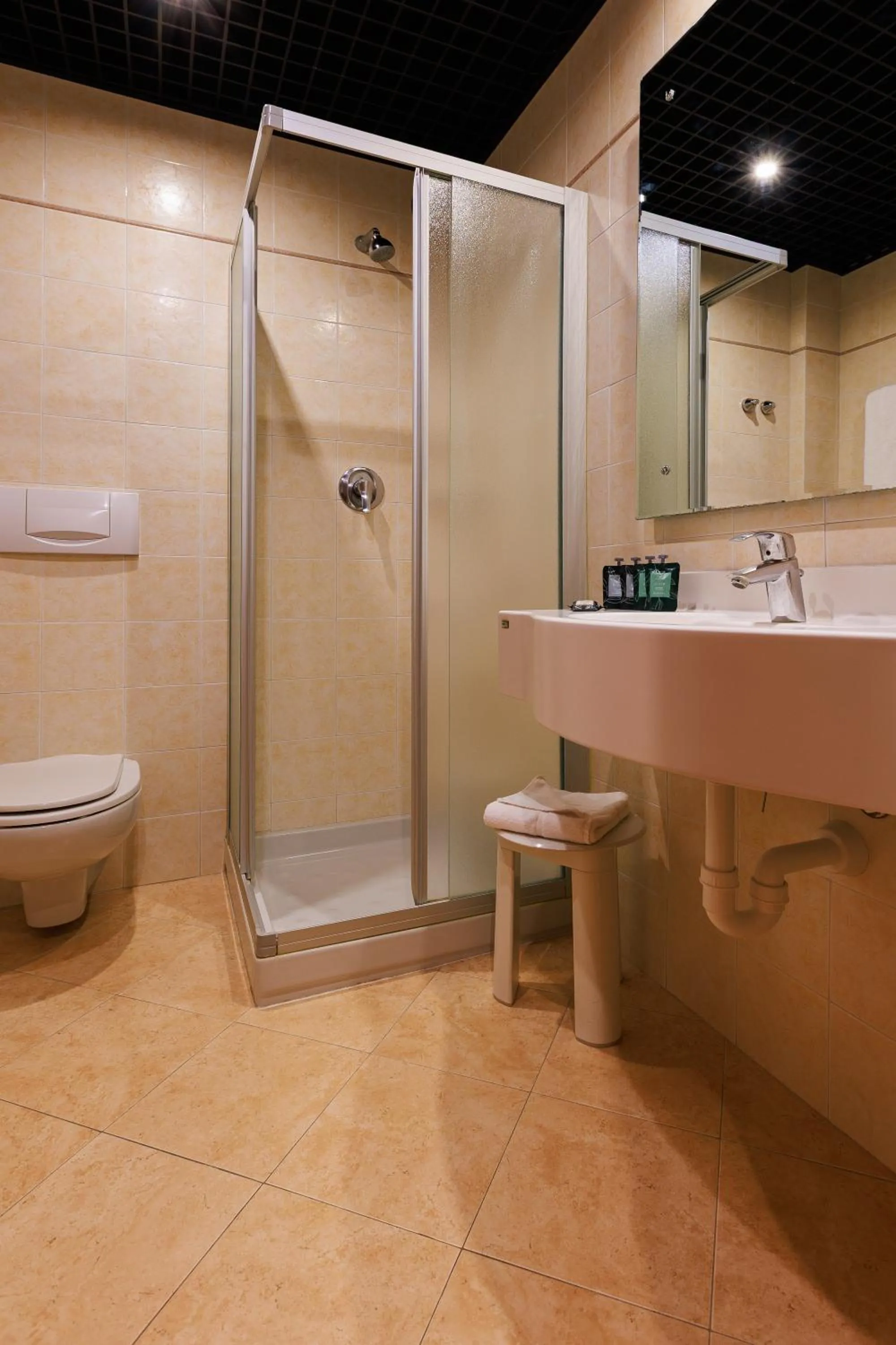 Hotel Excelsior Magenta