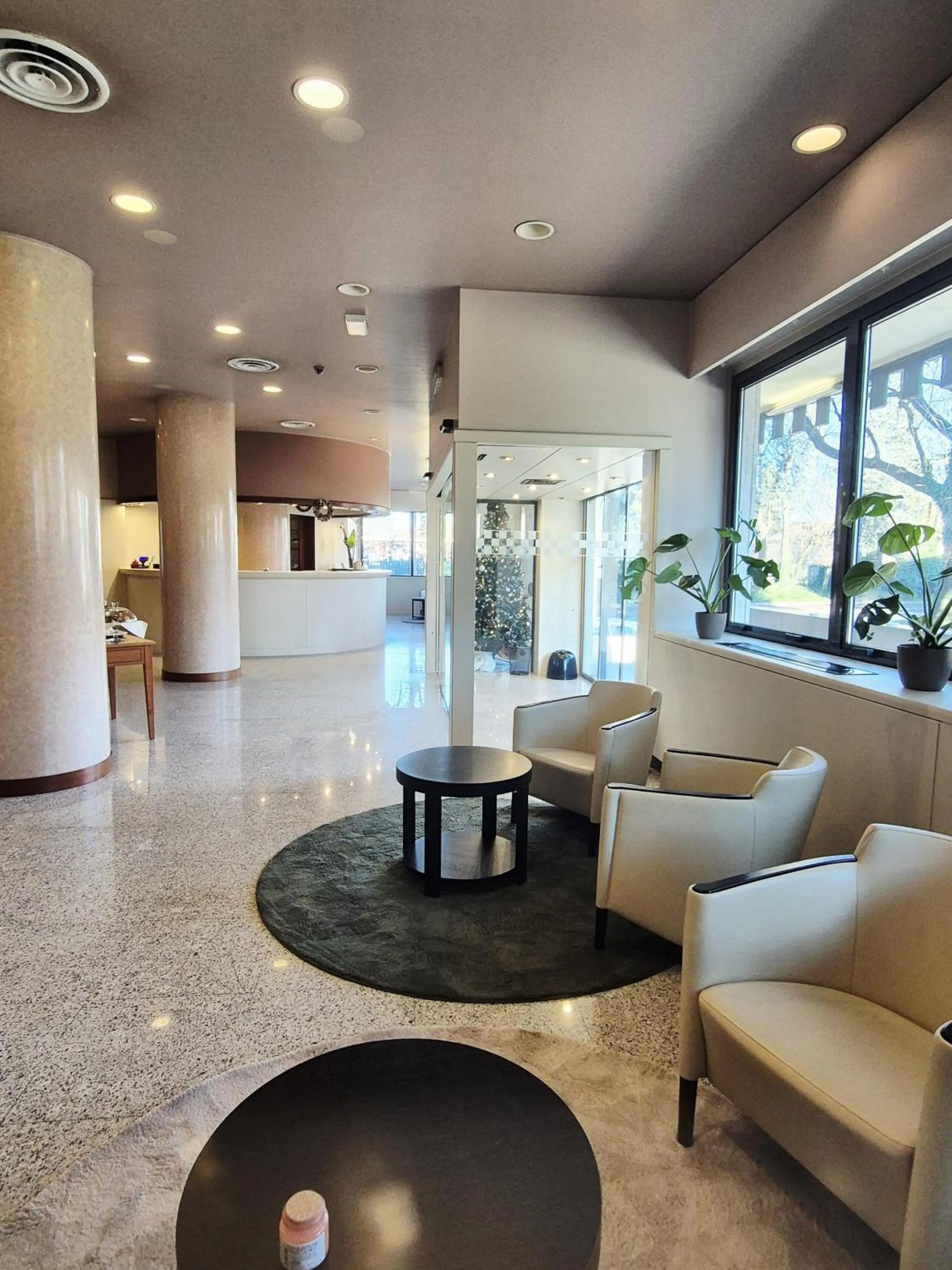 Hotel Excelsior Magenta