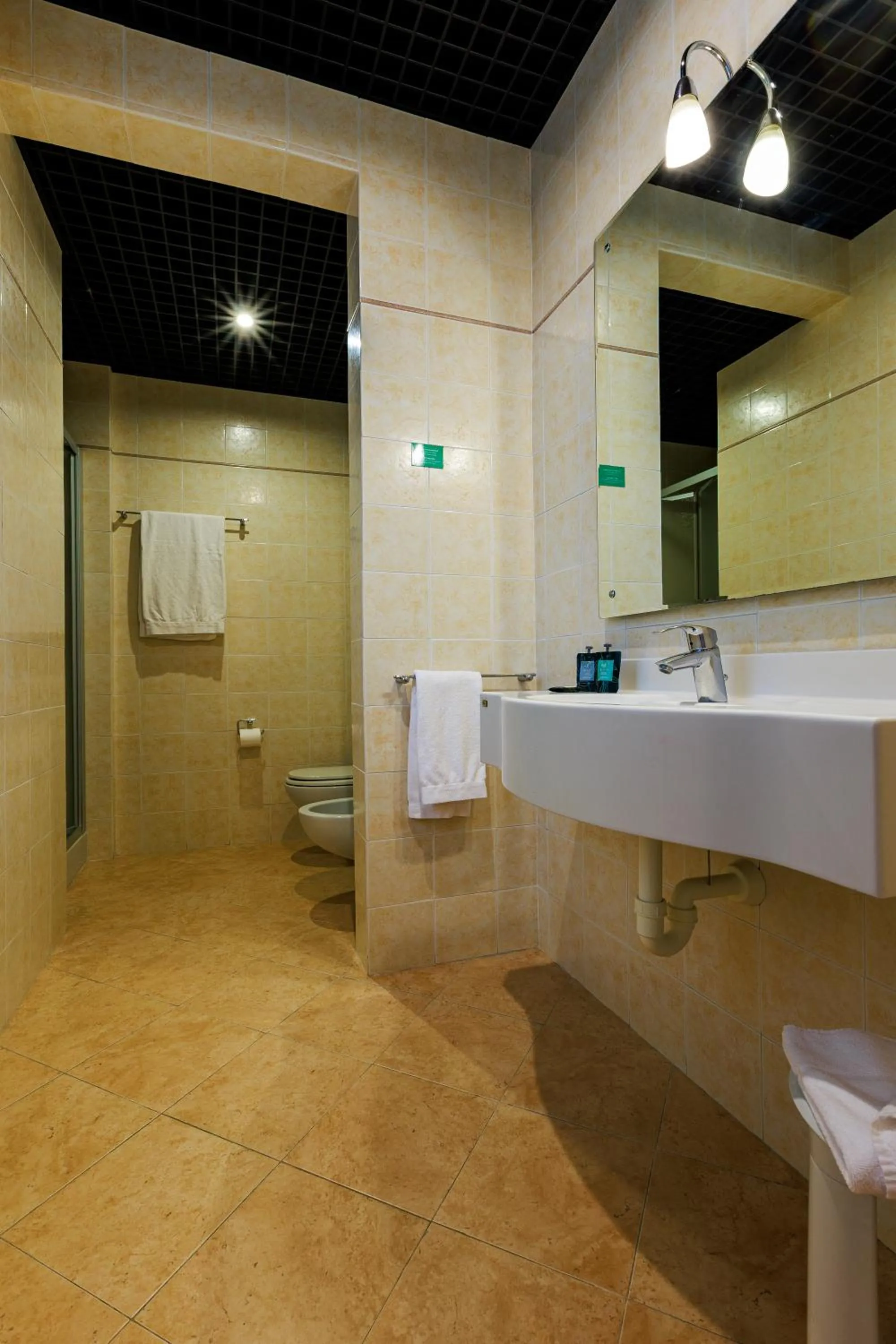 Hotel Excelsior Magenta