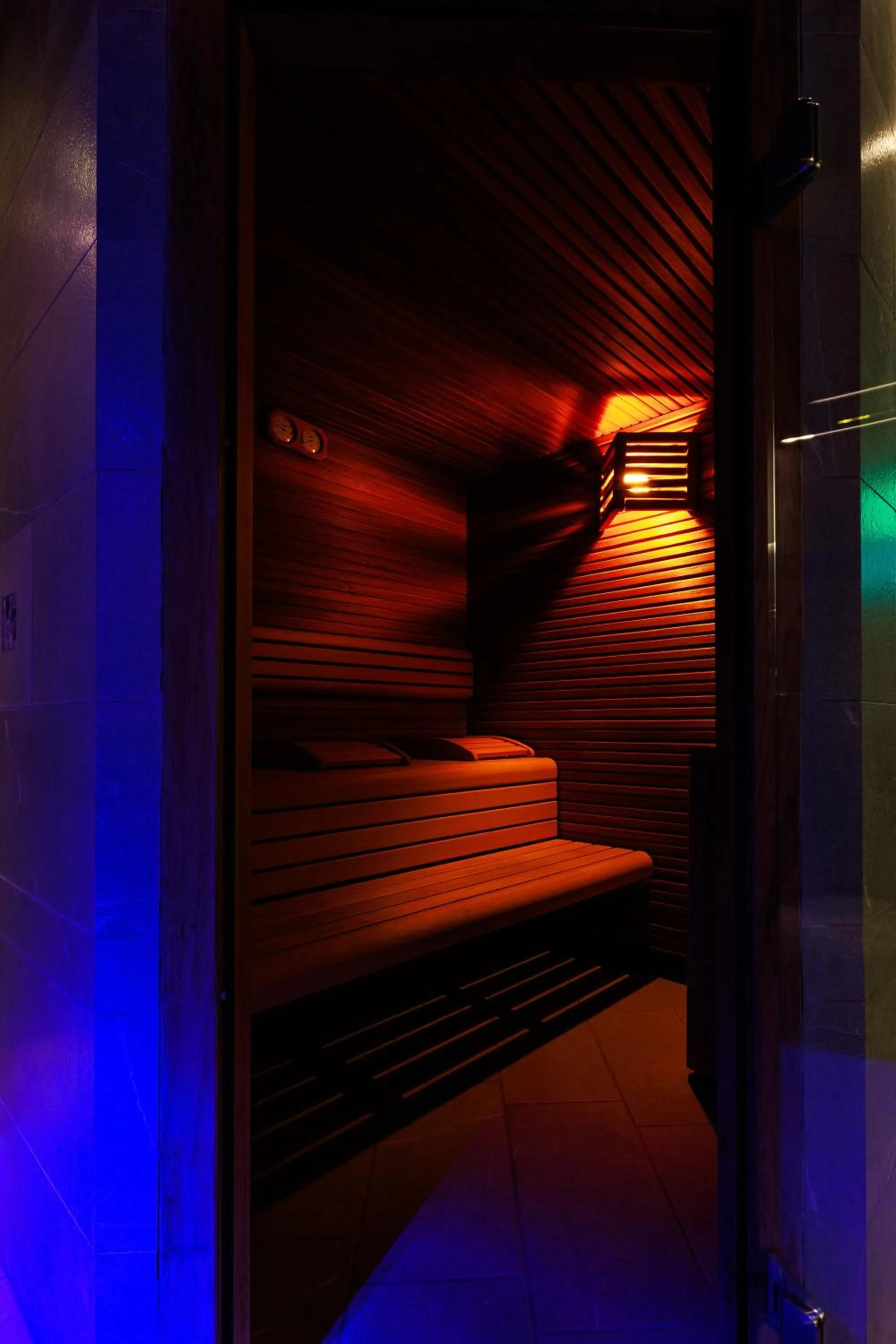 Hotel Excelsior Magenta