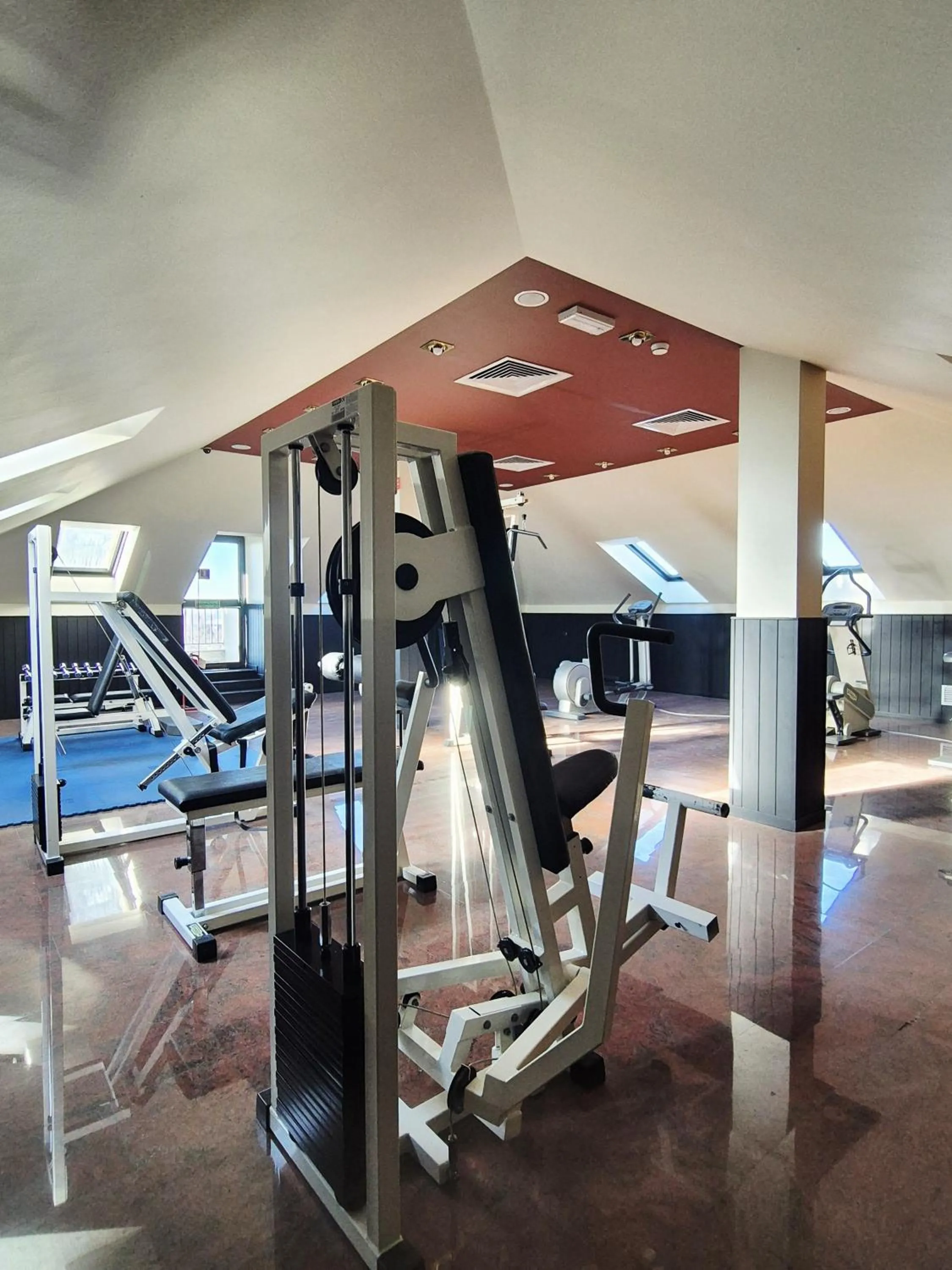 Hotel Excelsior Magenta