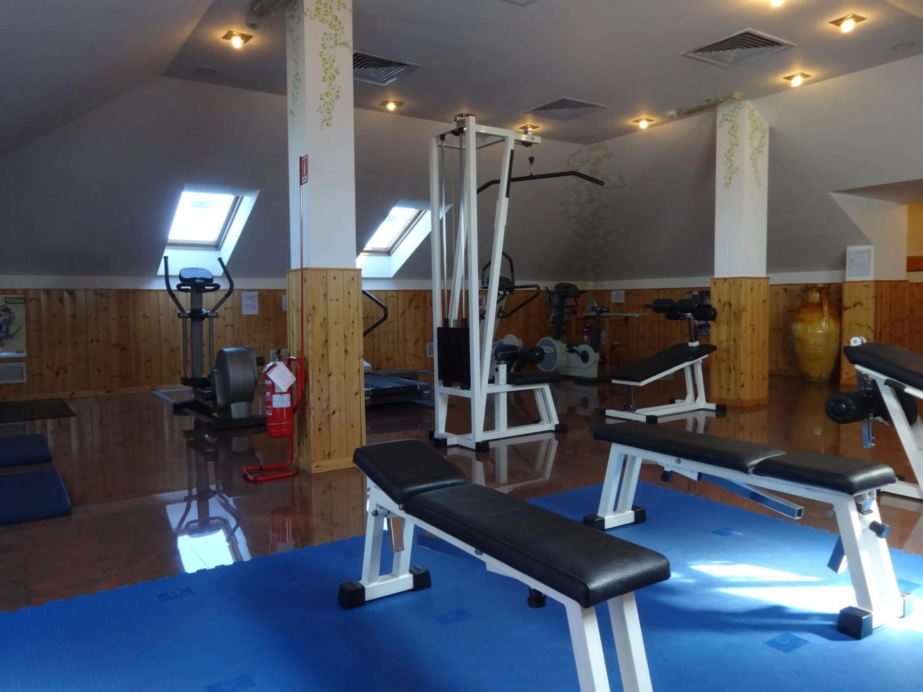 Fitness centre/facilities in Hotel Excelsior Magenta