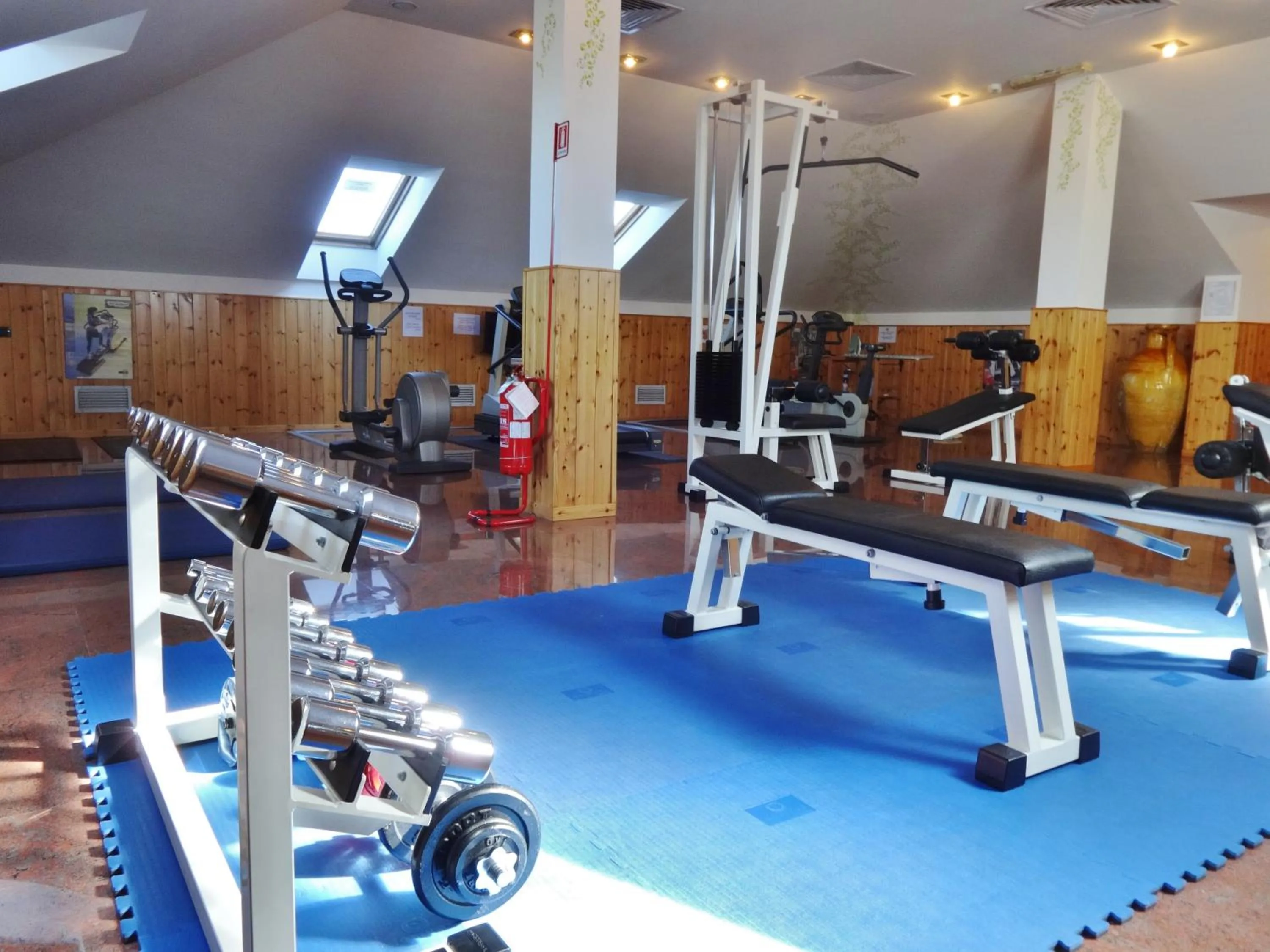 Fitness centre/facilities in Hotel Excelsior Magenta