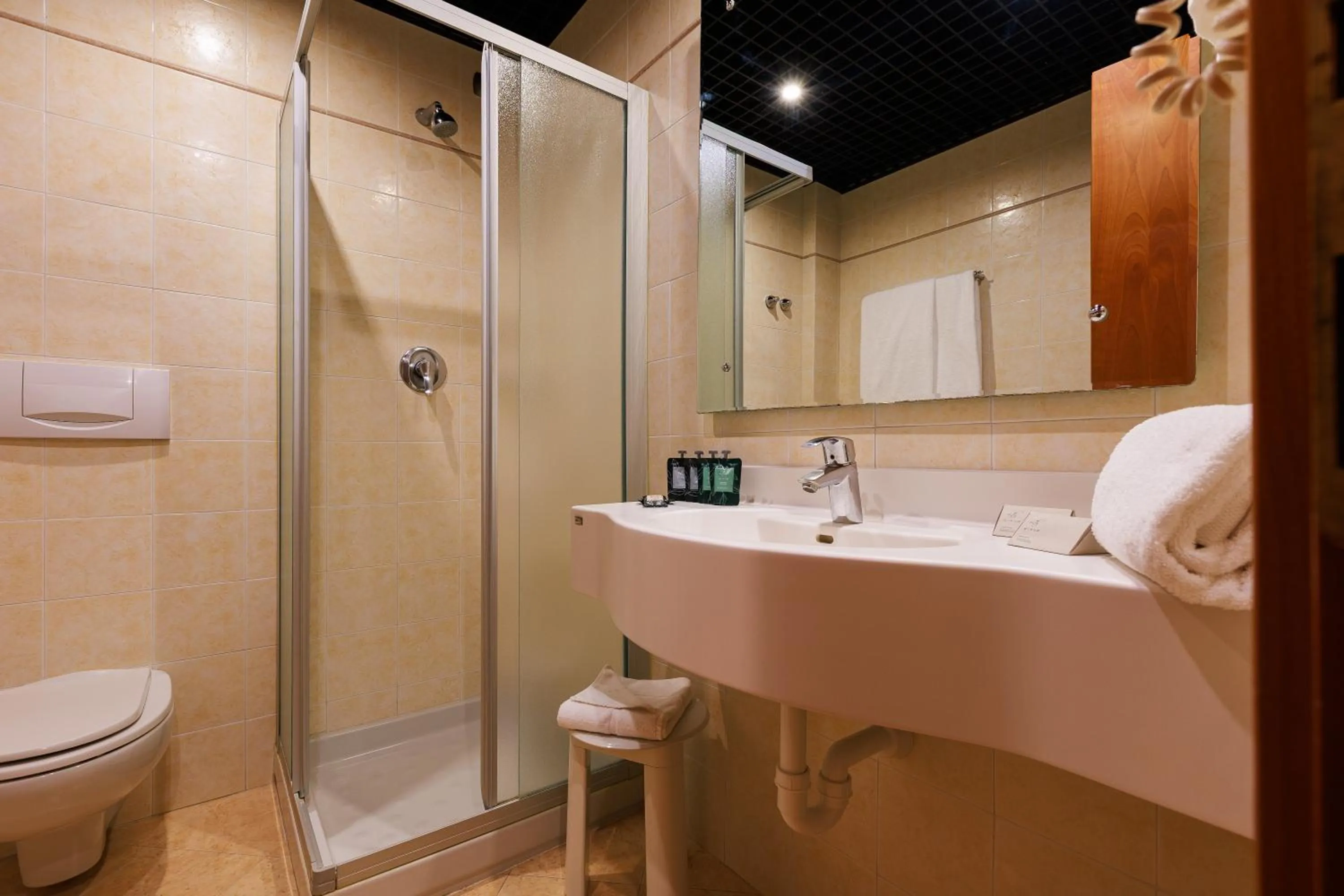 Hotel Excelsior Magenta