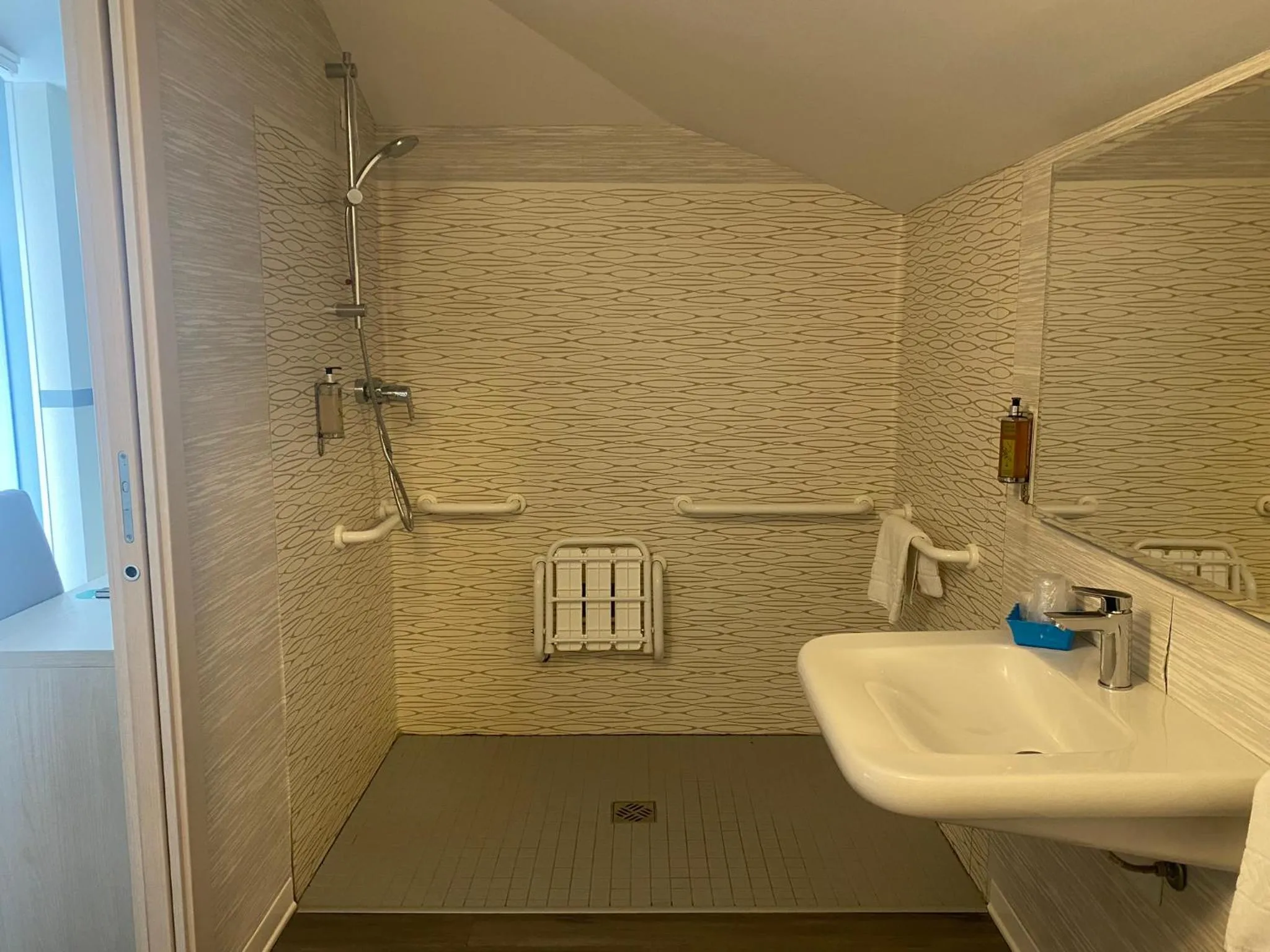 Facility for disabled guests in Hotel Dogana