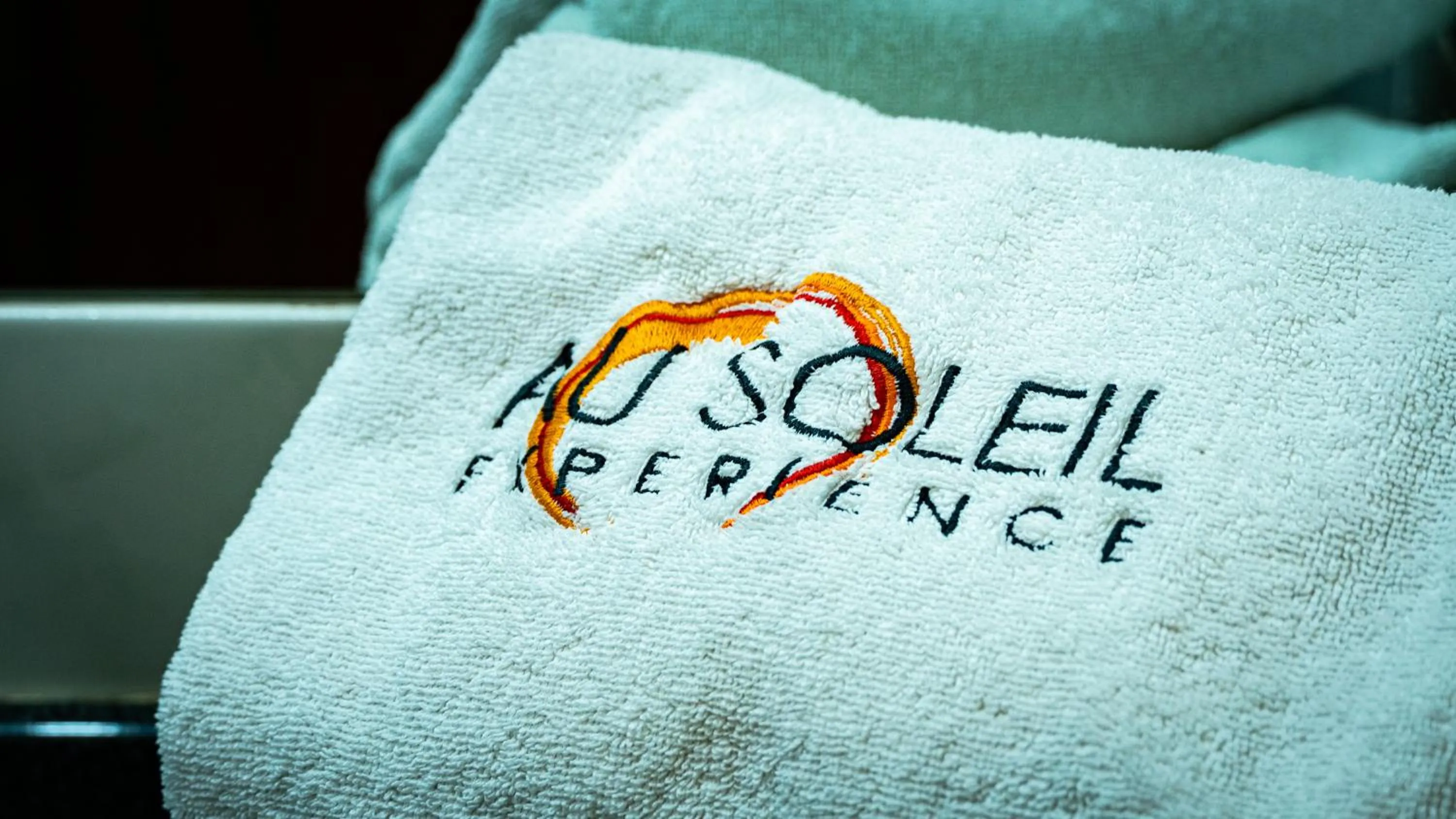 Property logo or sign in Hotel Au Soleil