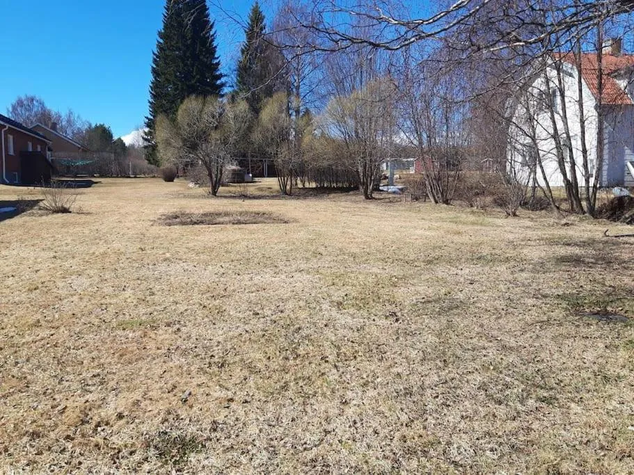 Garden in The Old Post Office